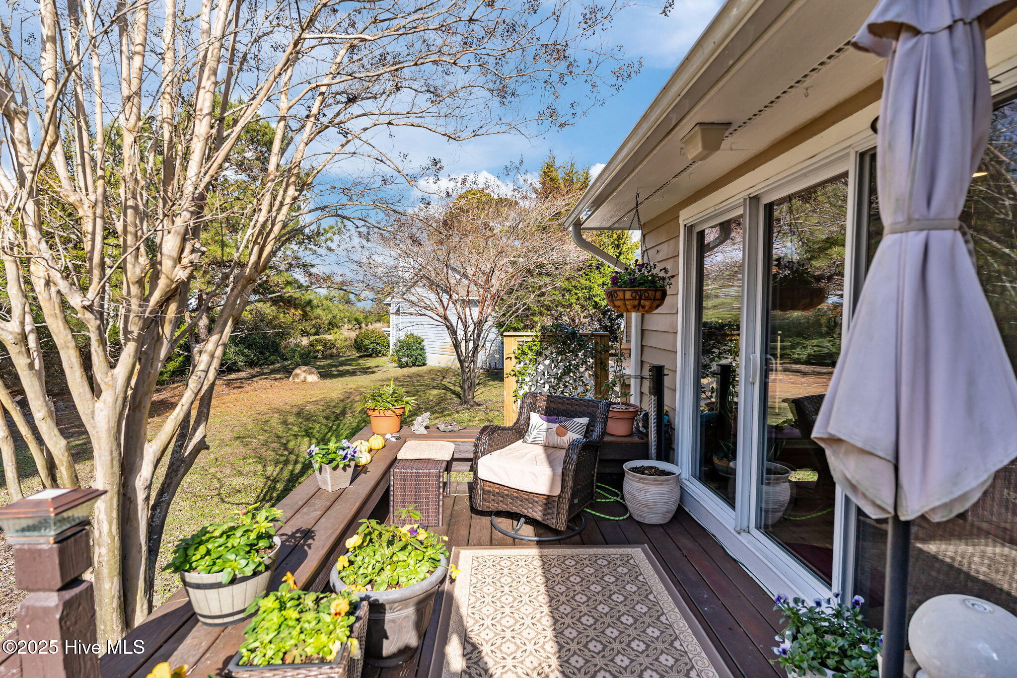 100545533 | Photo 32