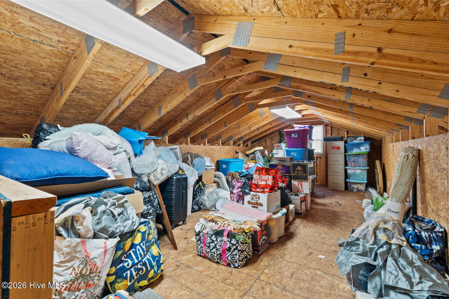 100562599 | Photo 22