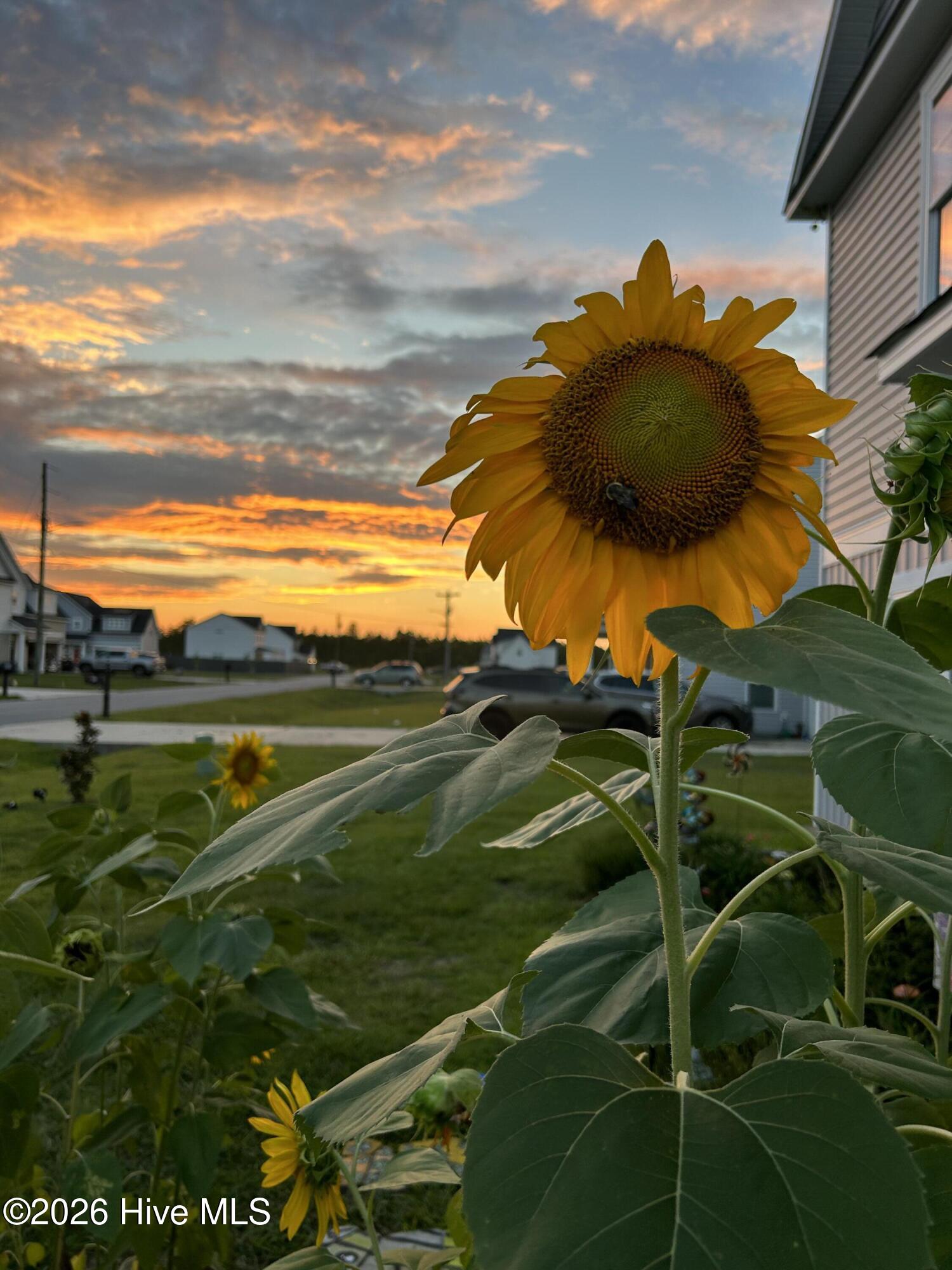 100549687 | Photo 76