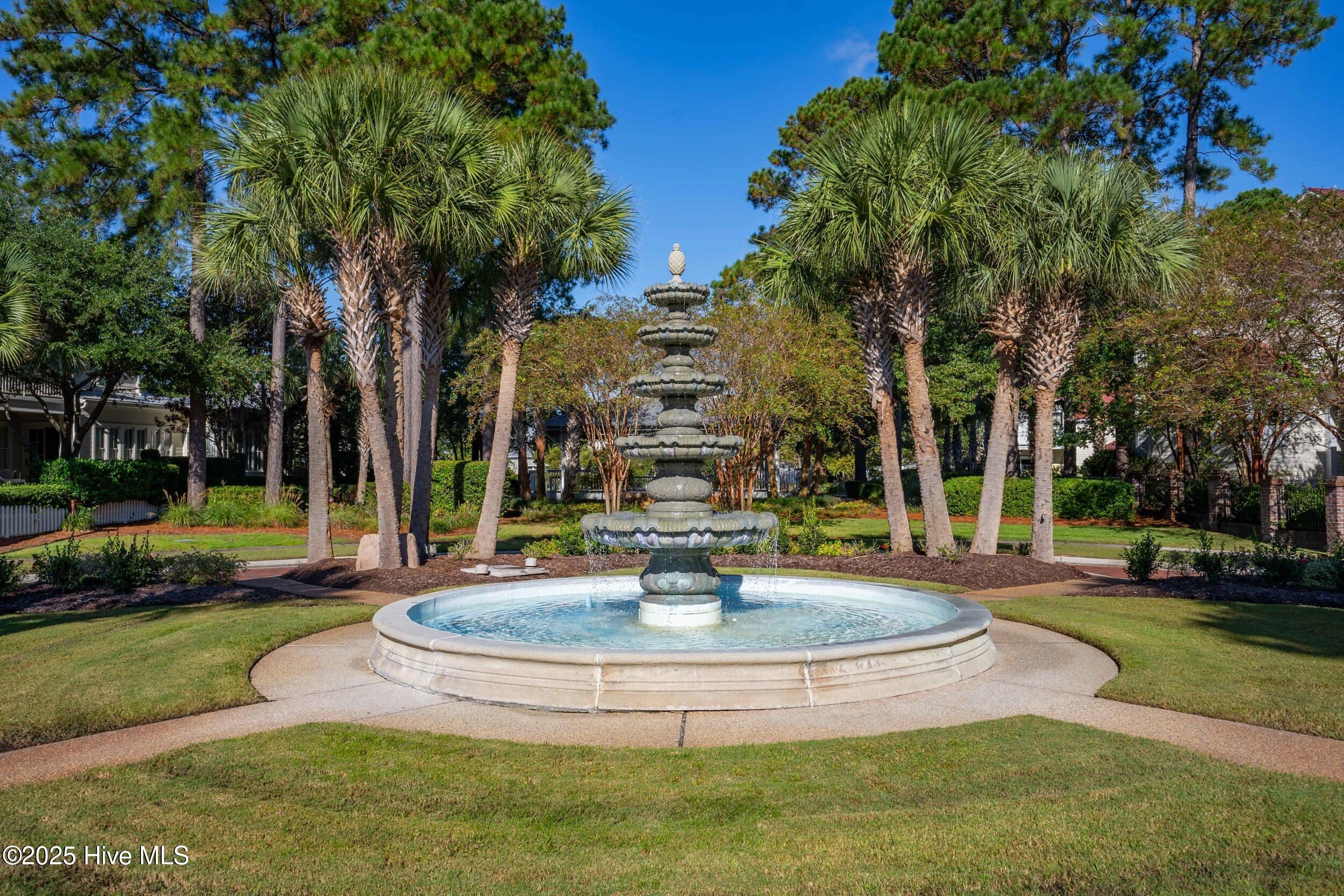 100532568 | Photo 54