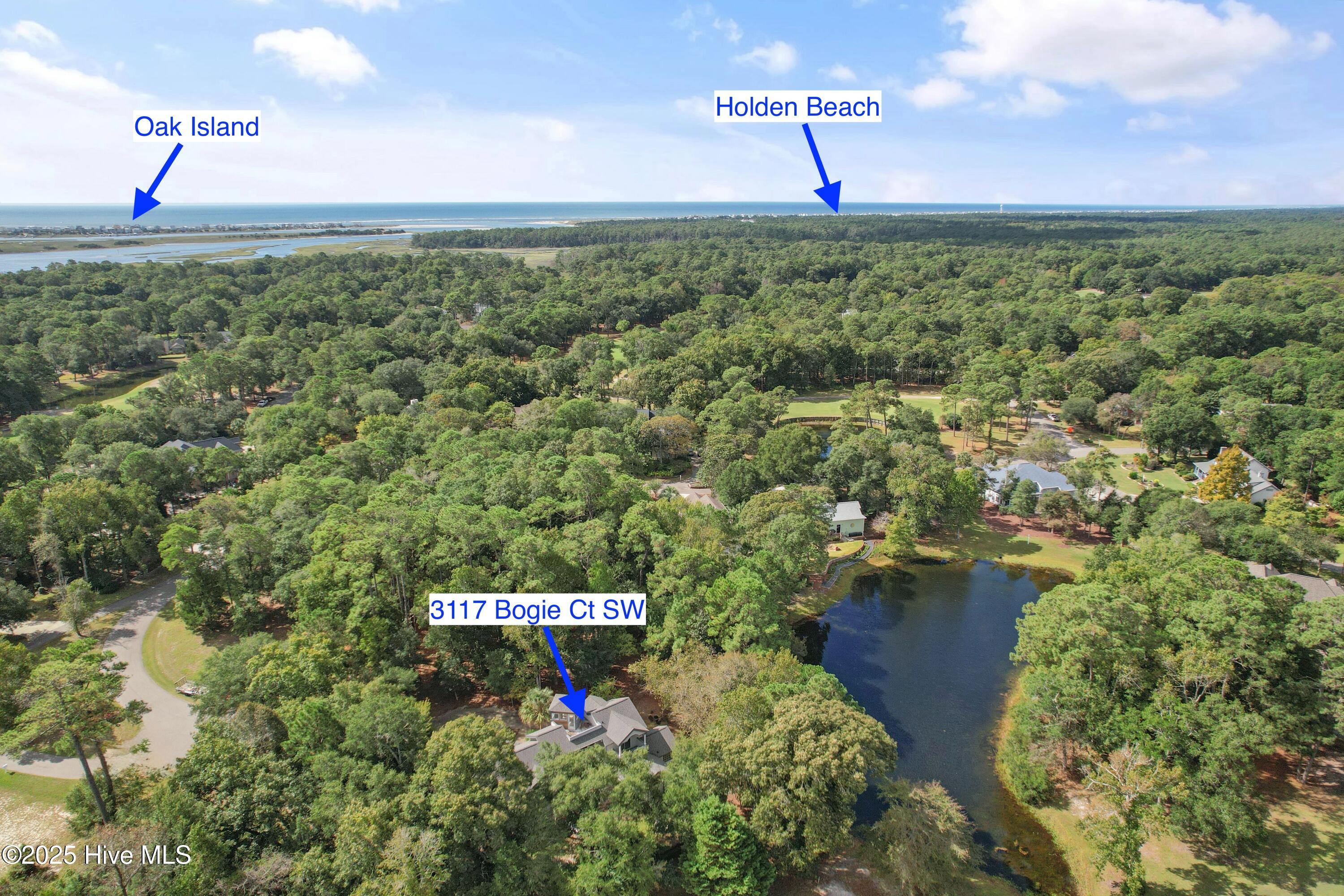 100535274 | Photo 51