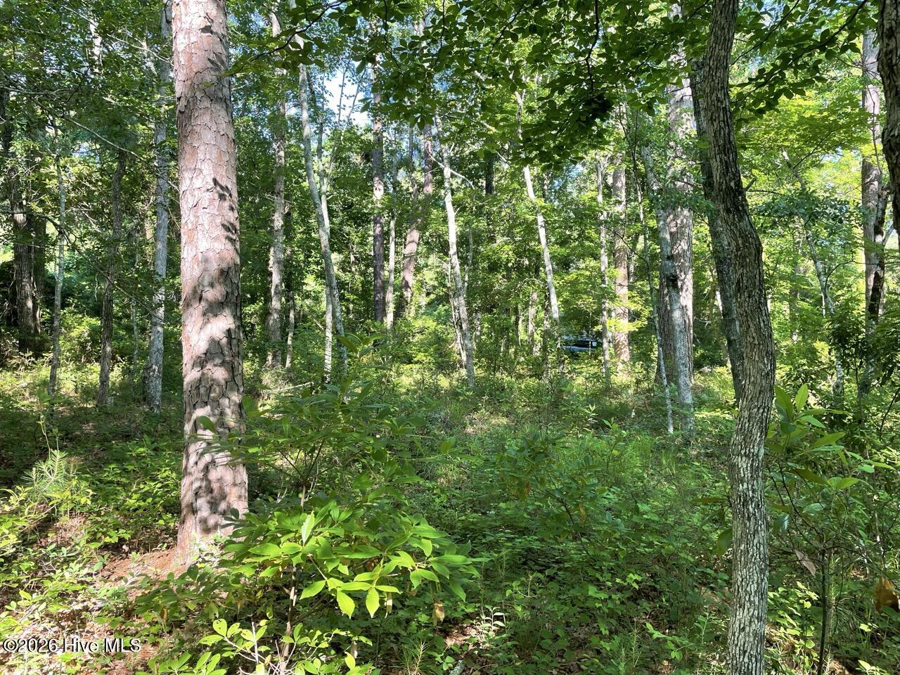 126 34 Deer Trail,Beaufort