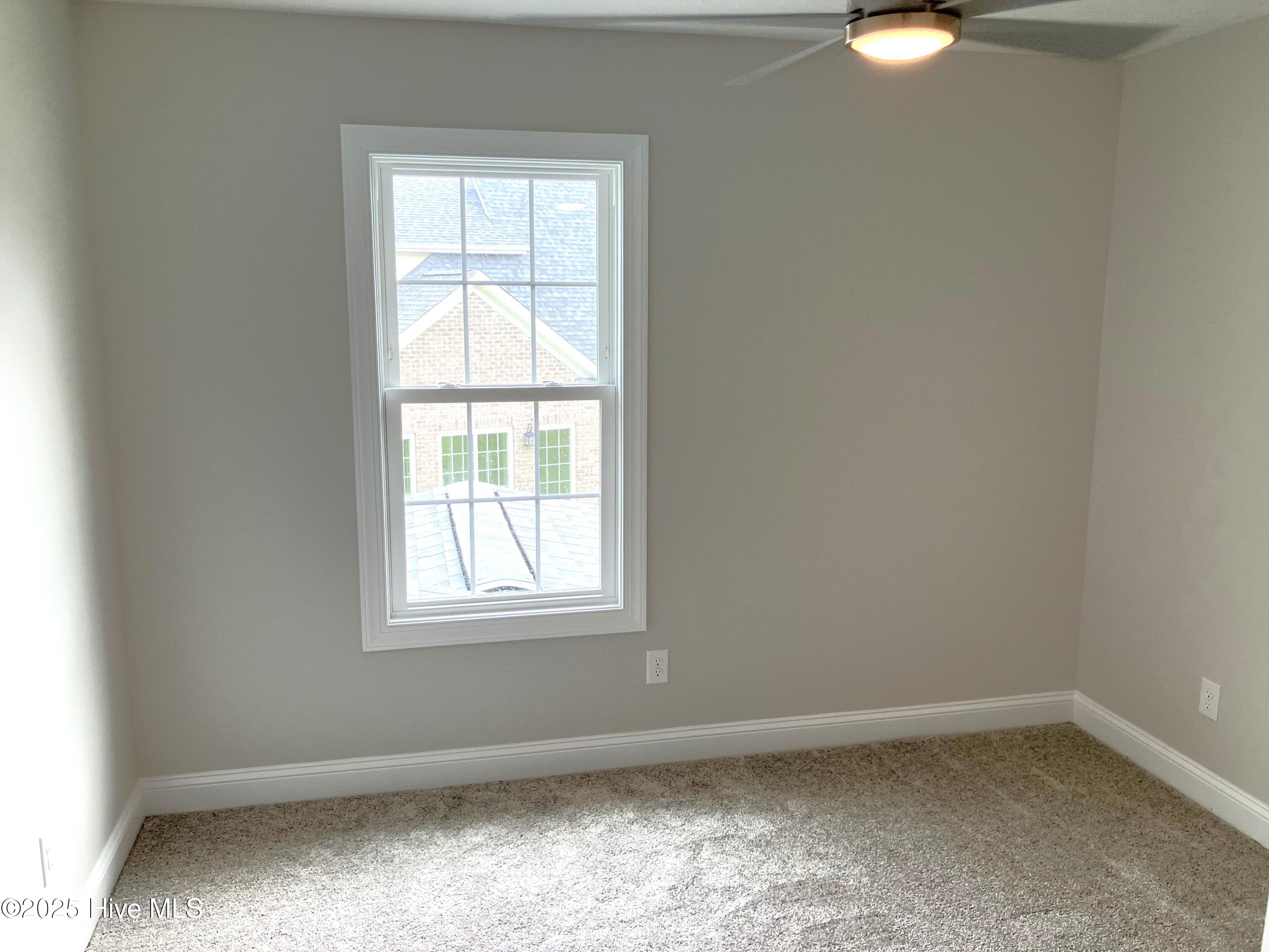 100514031 | Photo 33