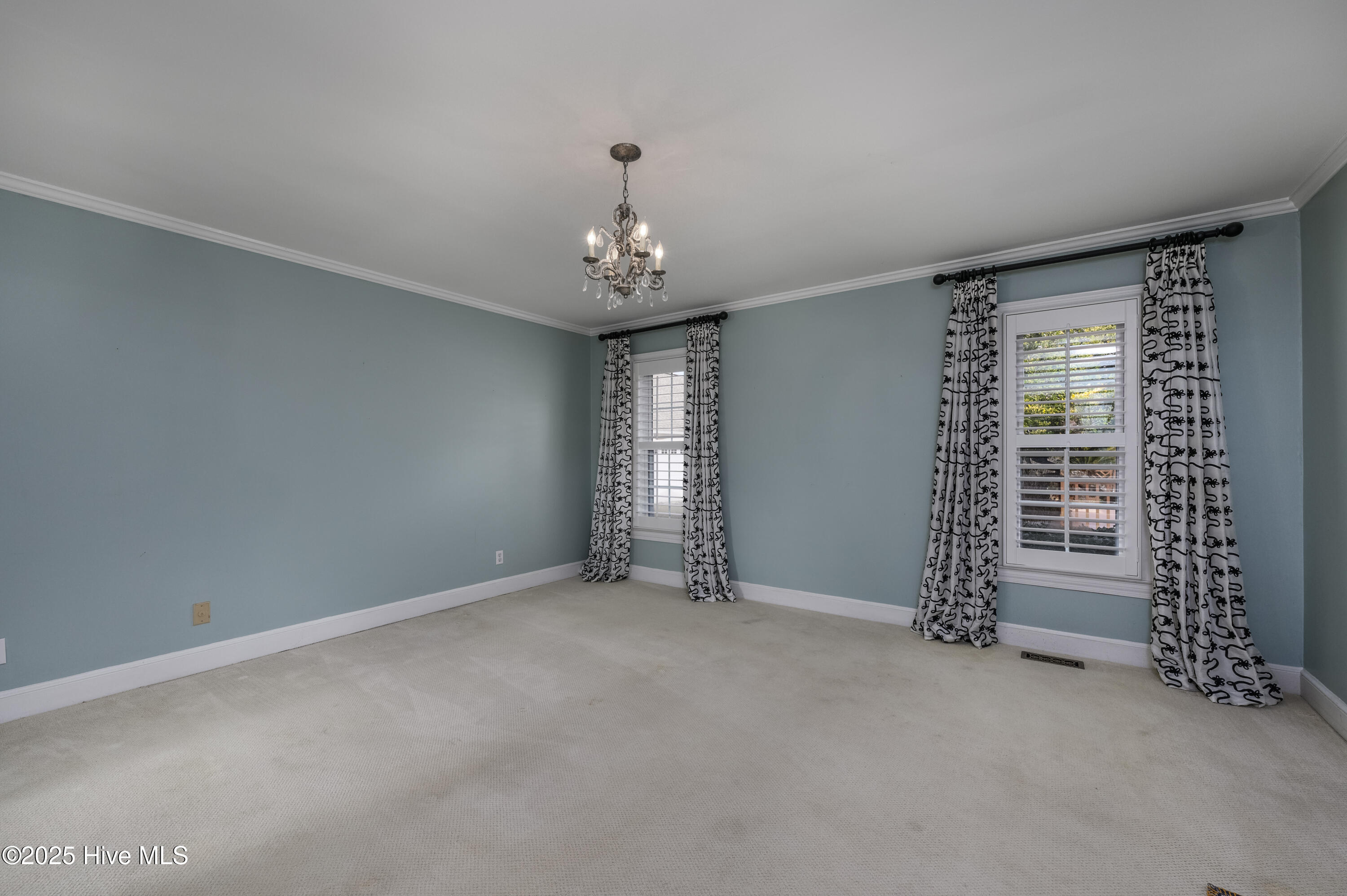 100485107 | Photo 16