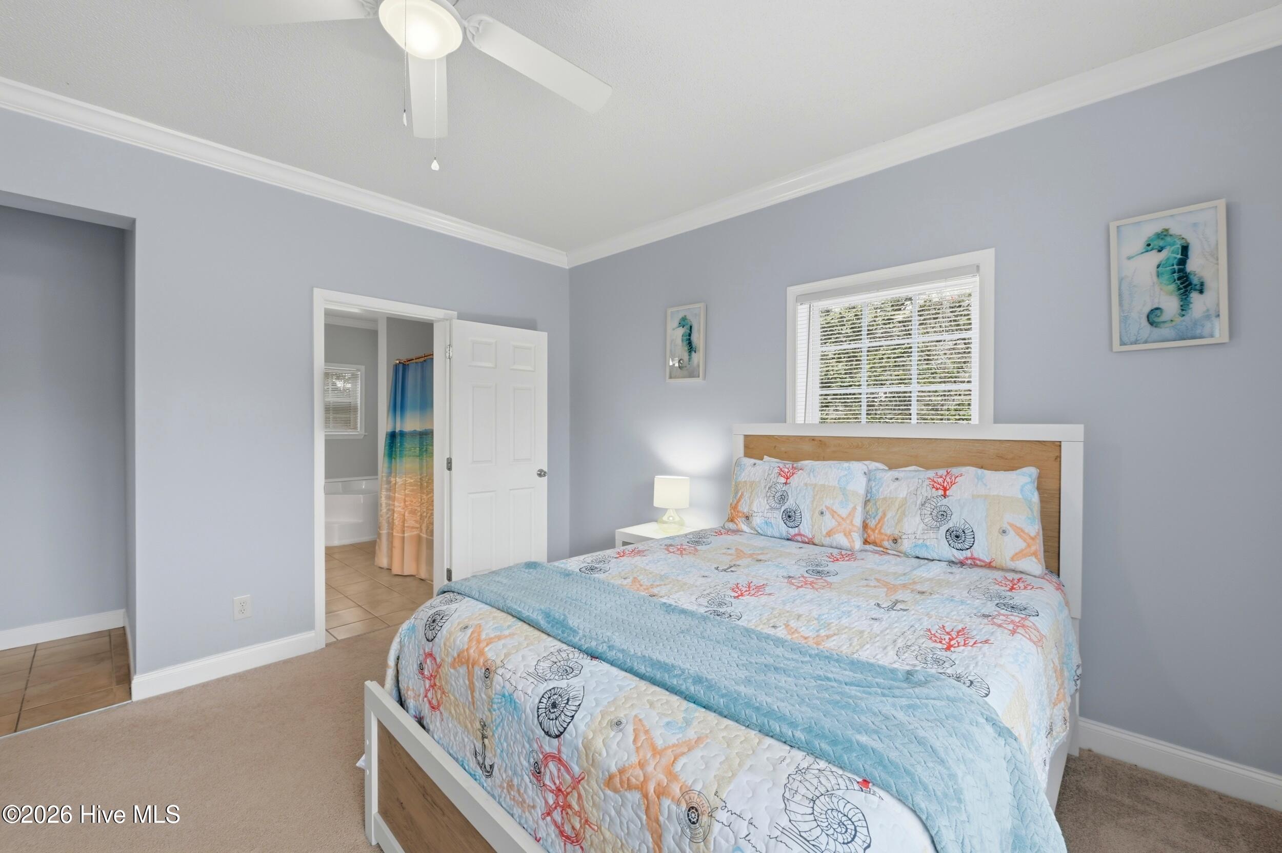 100557500 | Photo 24