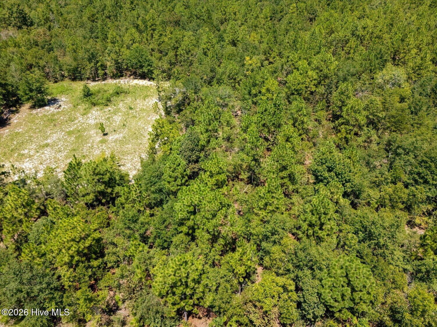 Closer aerial view of wooded and open portions of the property