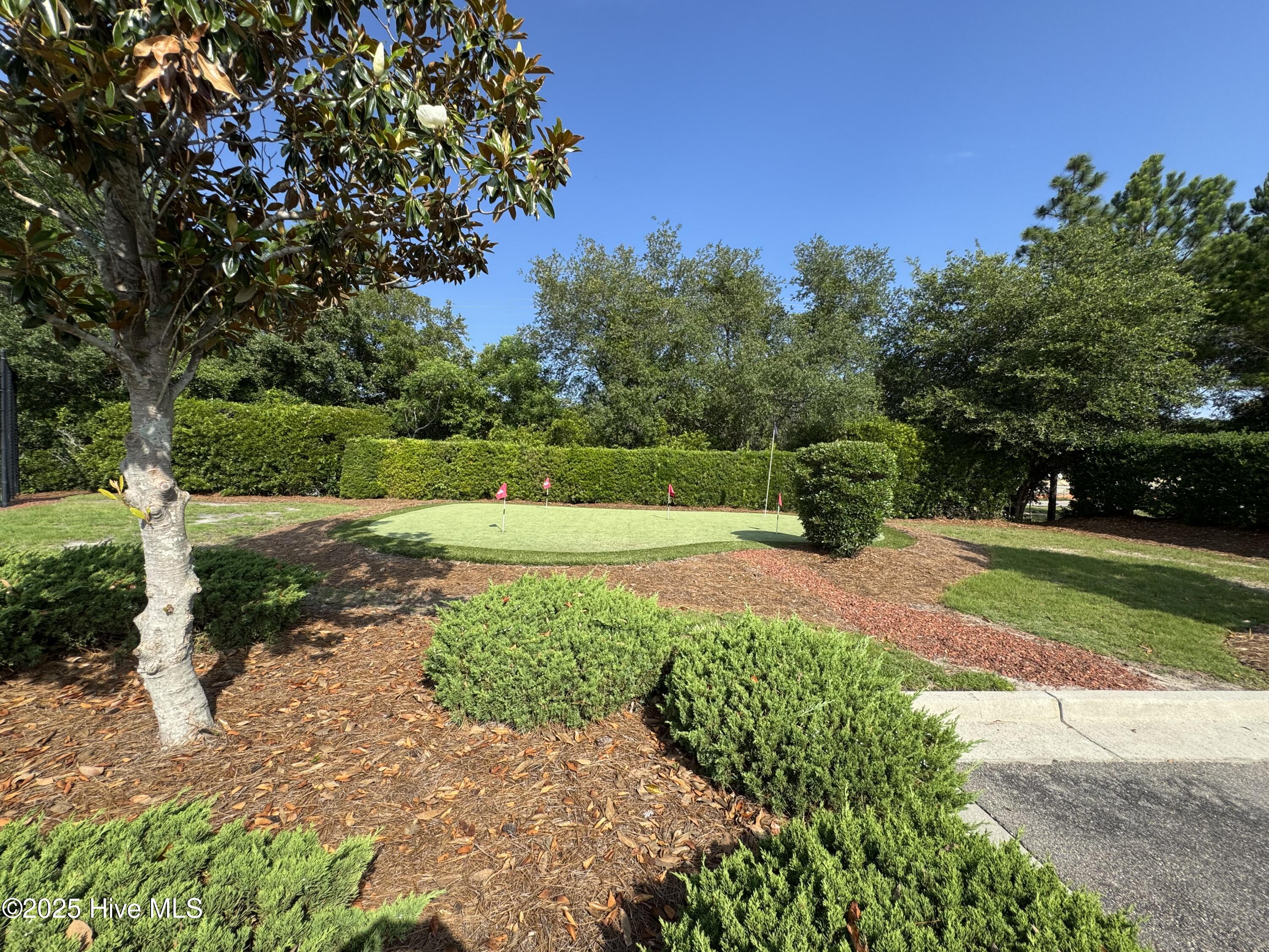 100510416 | Photo 46