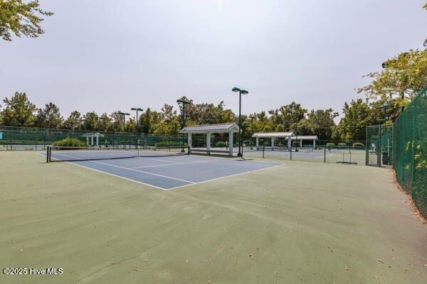 100543006 | Photo 53