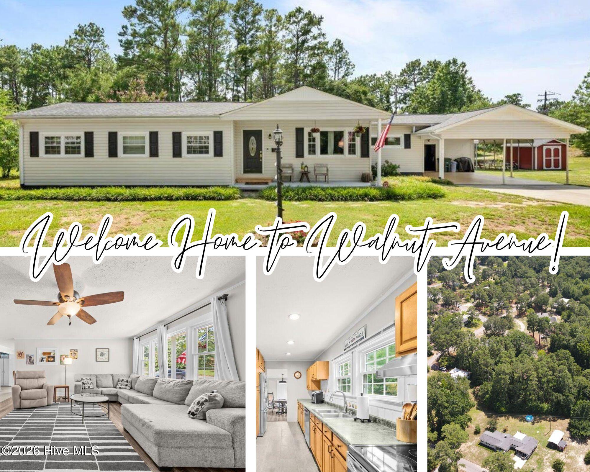 38th image of 202 Walnut Ave, Hamlet, NC 28345 | MLS# 100588646