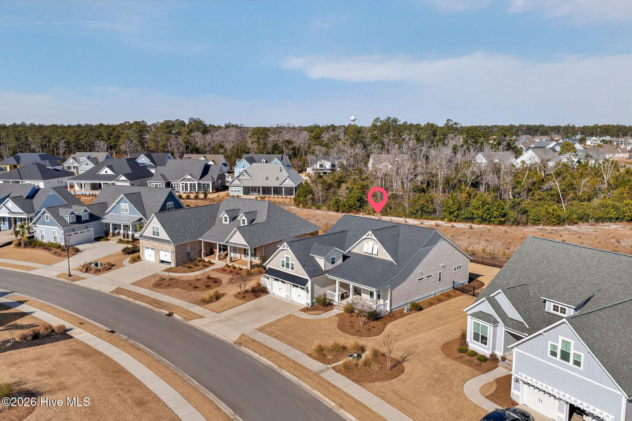 100556819 | Photo 41