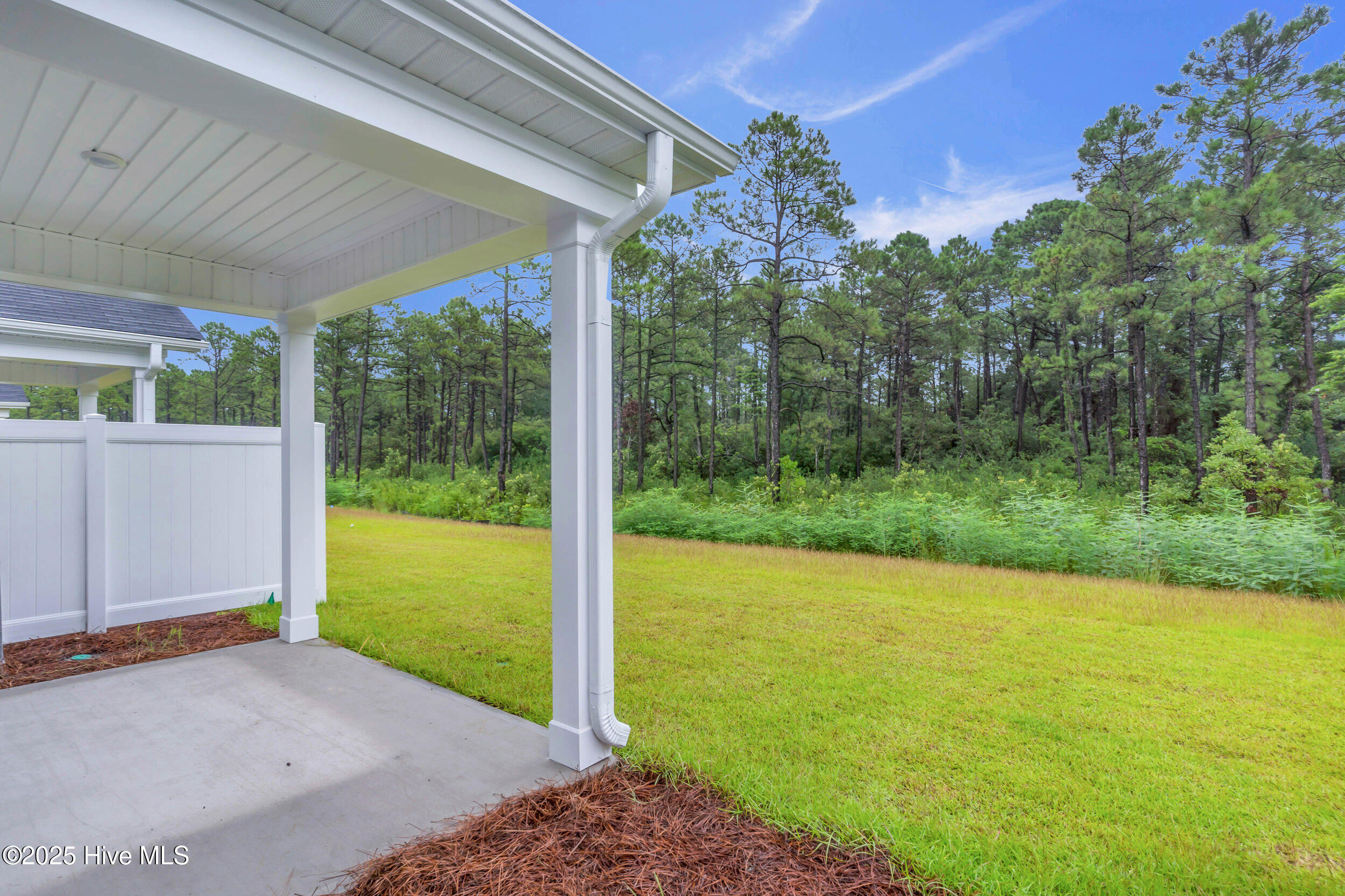 100521809 | Photo 37