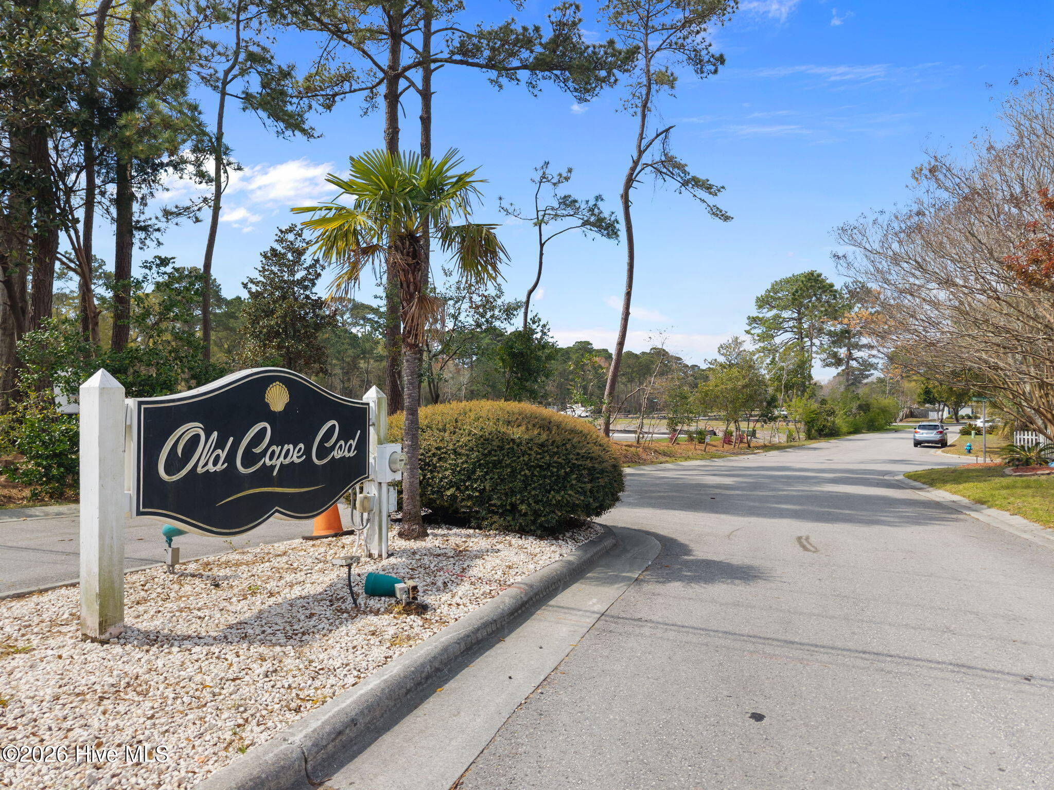 100563094 | Photo 35