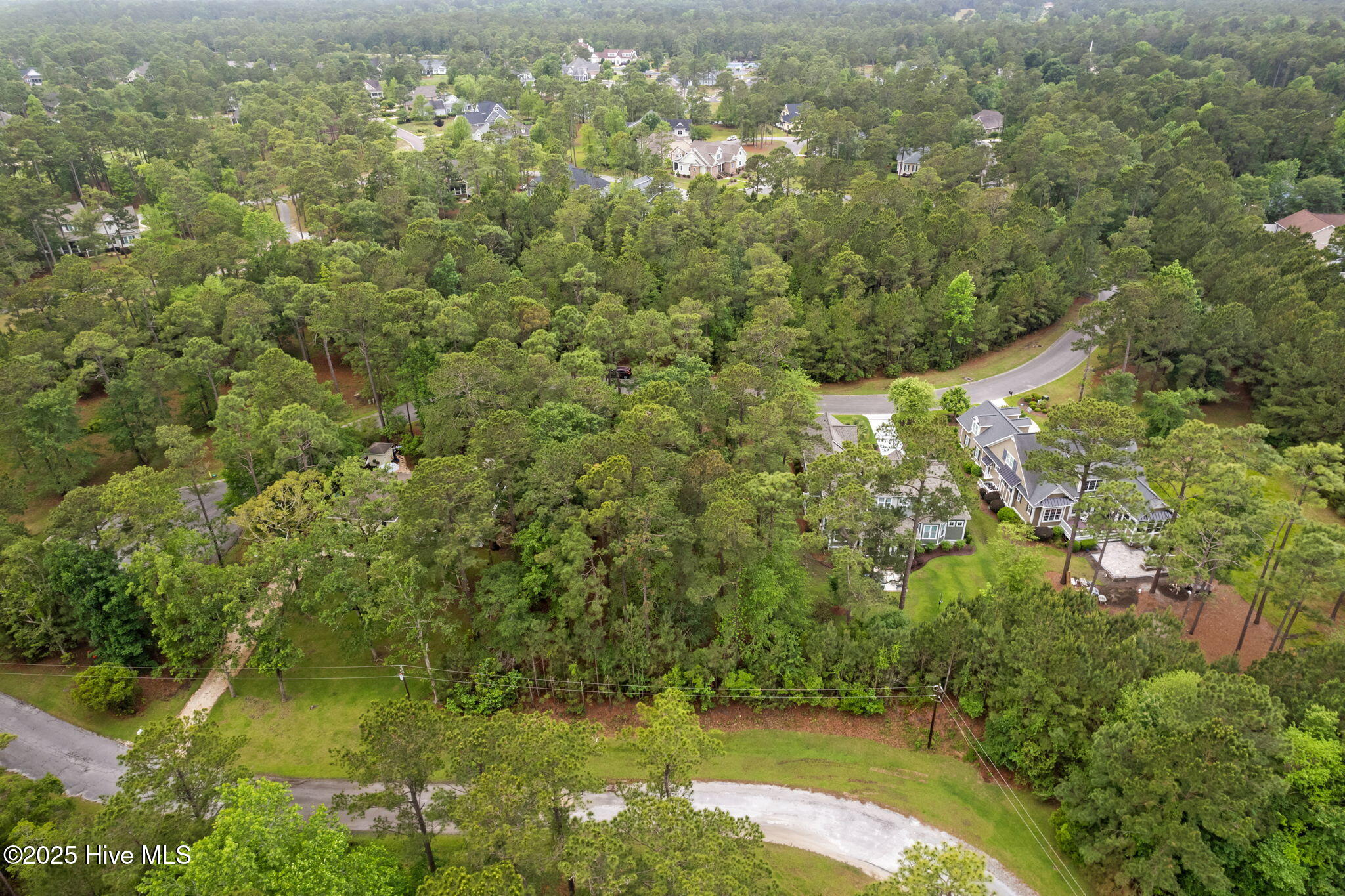 100507516 | Photo 34