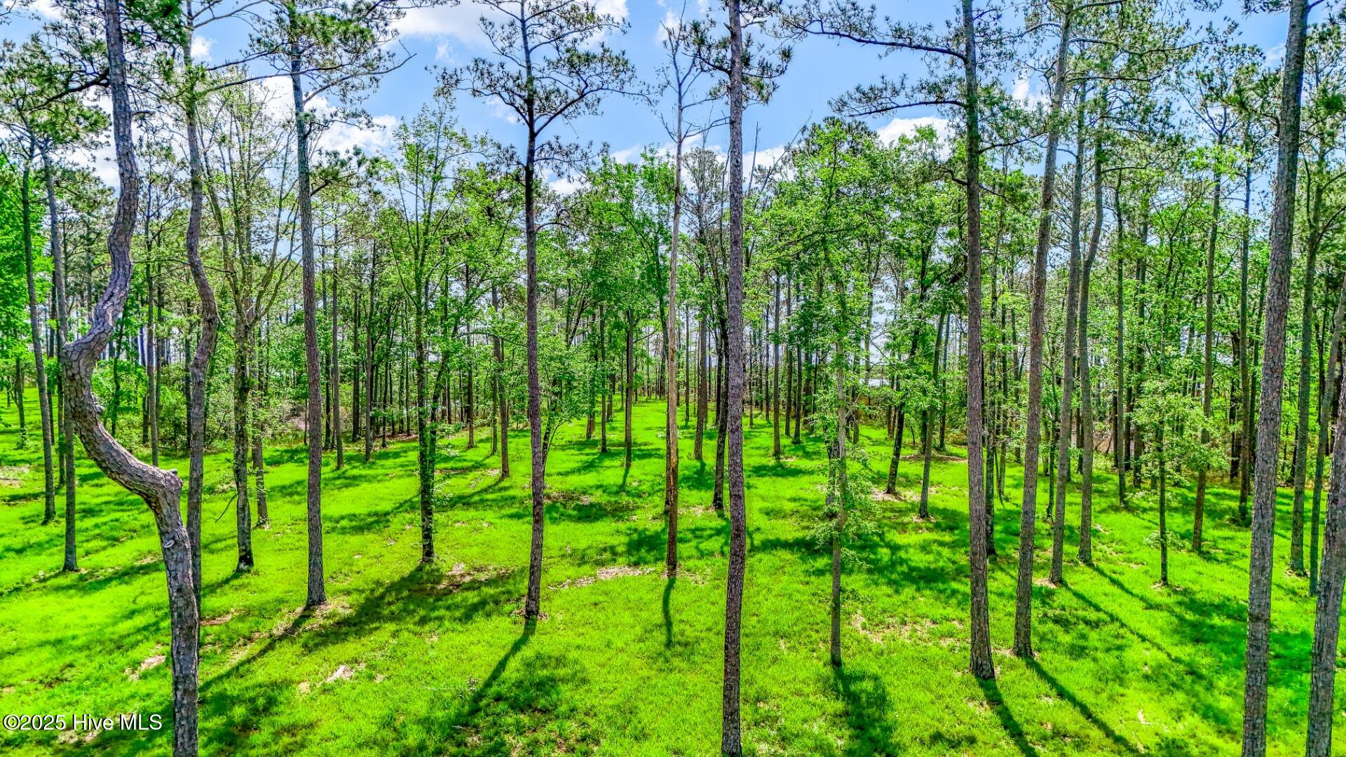 175 River Watch Road, Oriental, NC, 28571