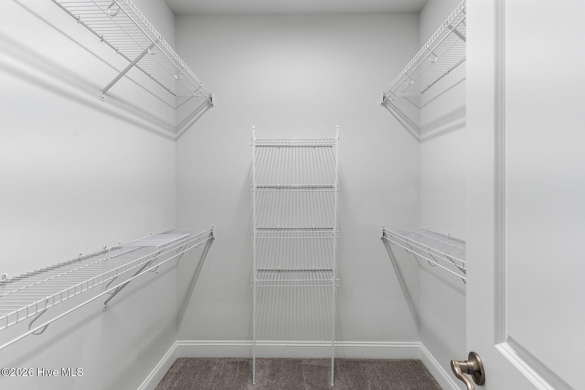 100558174 | Photo 25