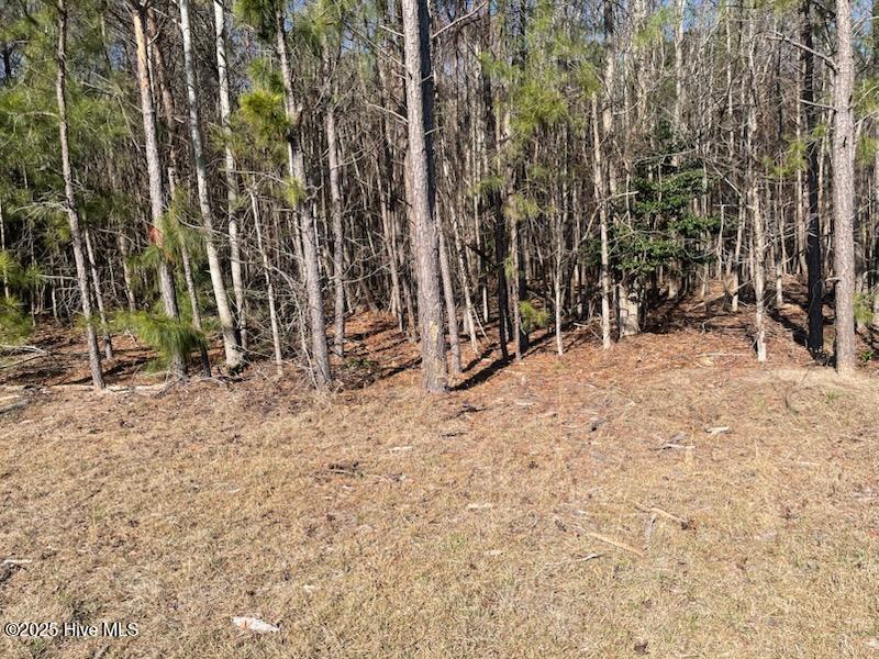 5635 Mckendree Church Road, Tarboro, NC, 27886