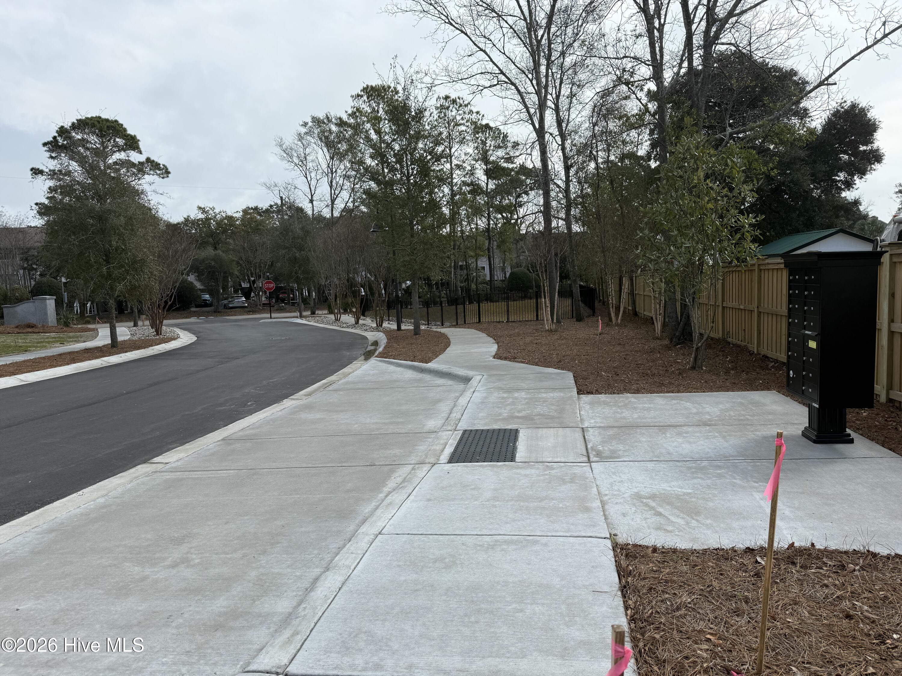 100557532 | Photo 13