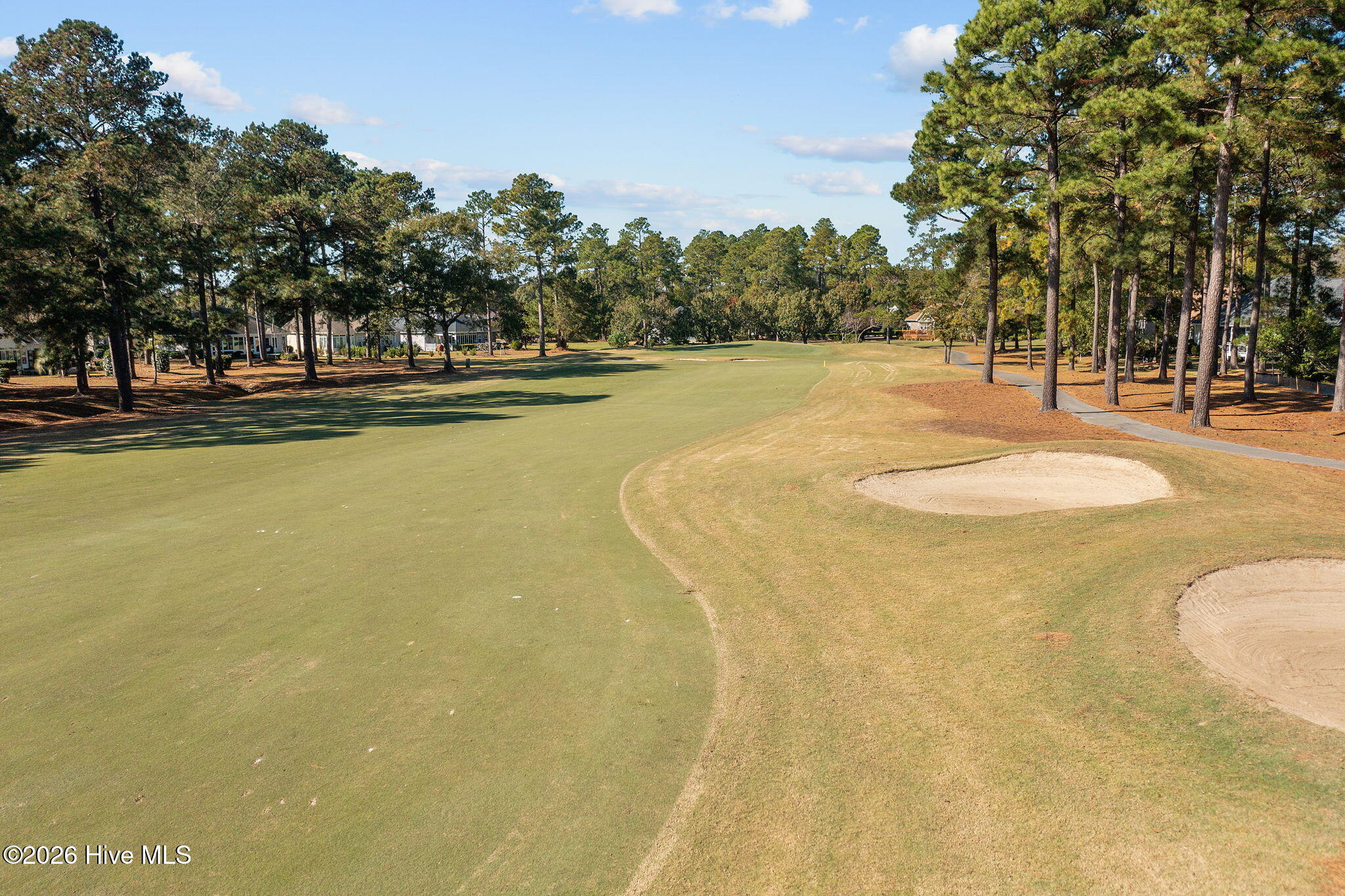 100569255 | Photo 40