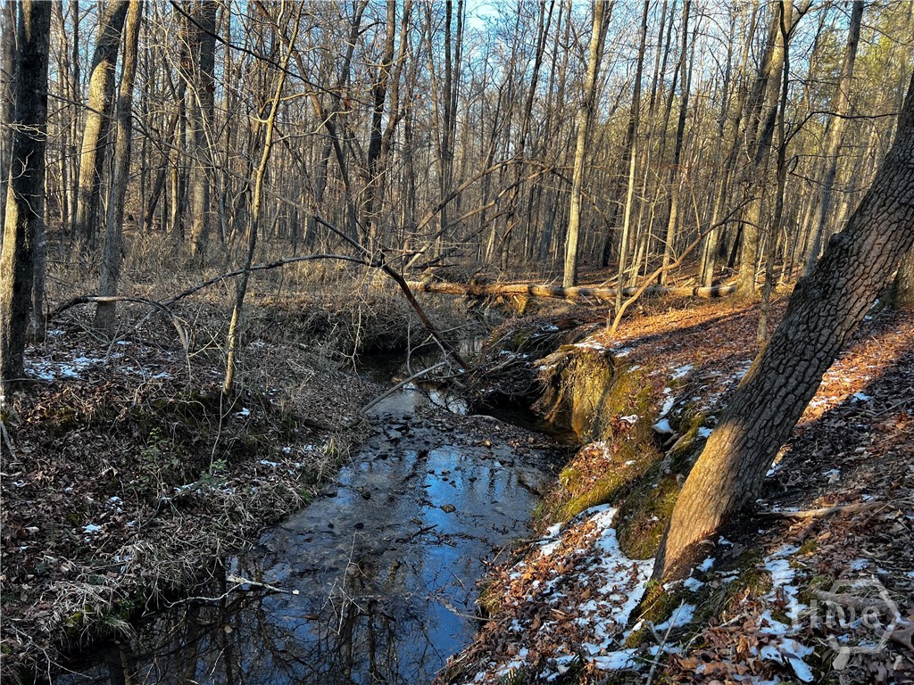 2285 Cherokee Road, Comer, GA, 30629