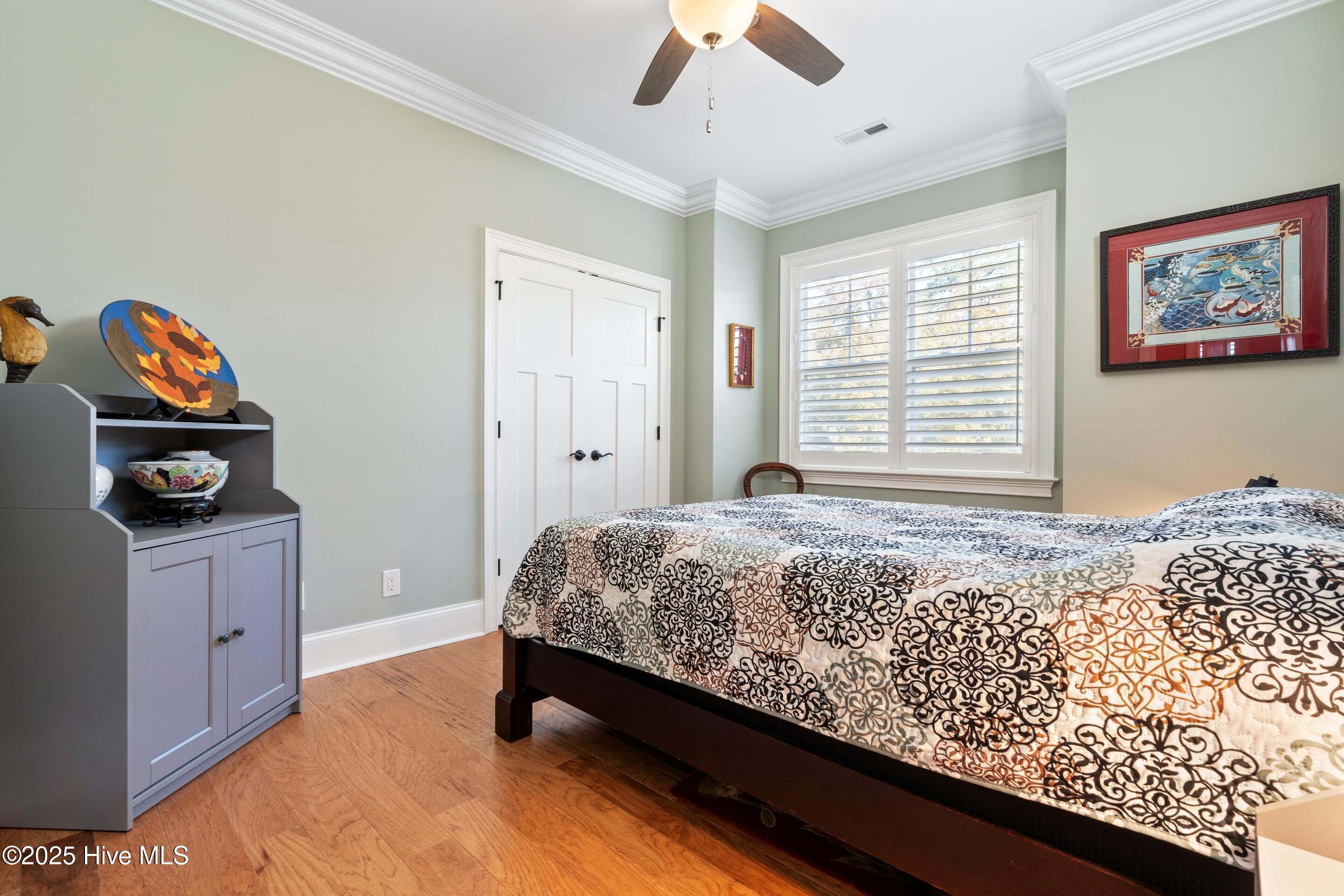 100541782 | Photo 34