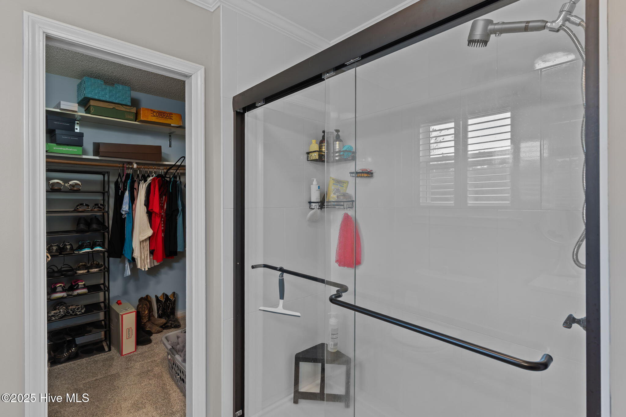 100535279 | Photo 29