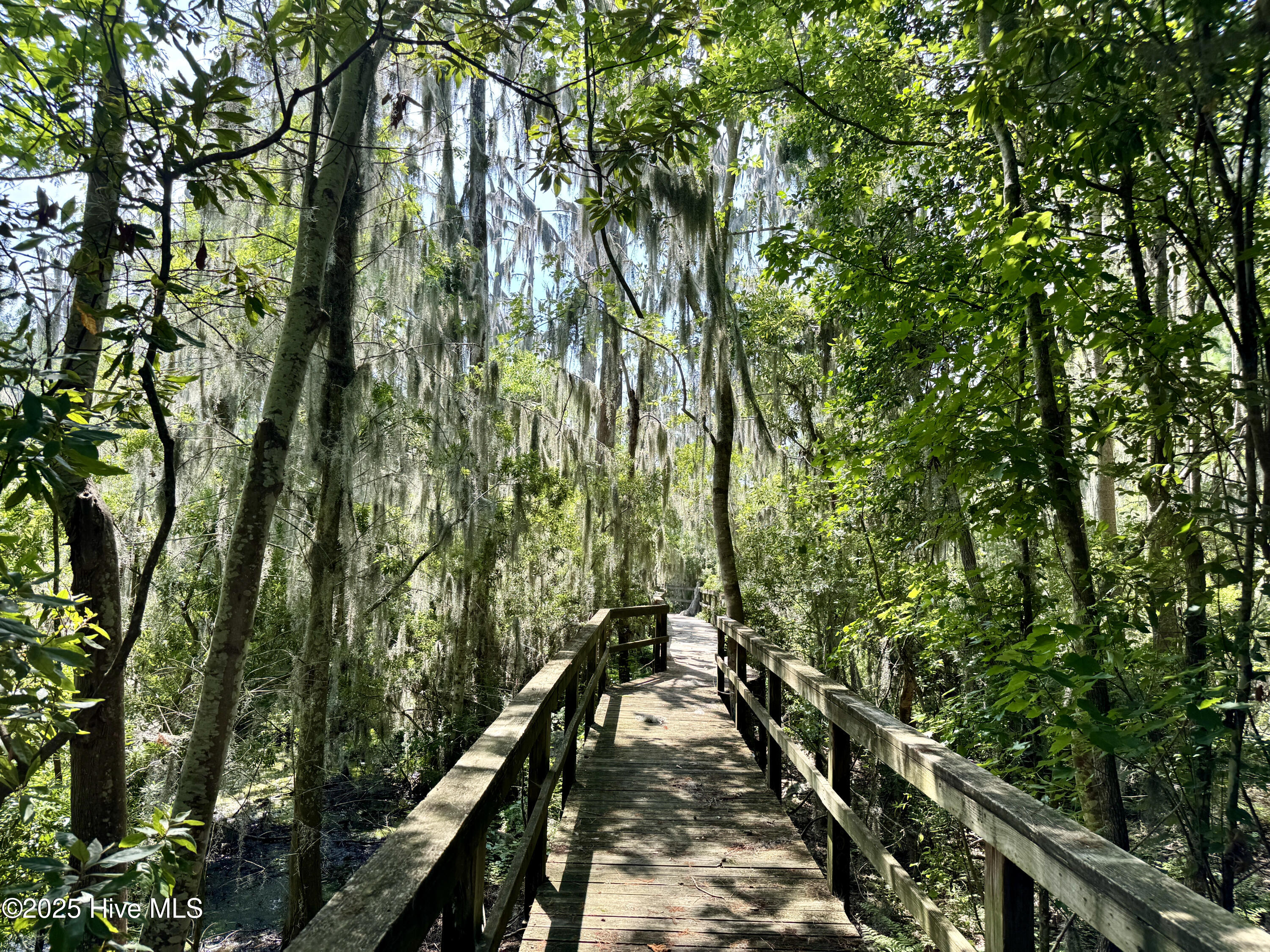 nature trail