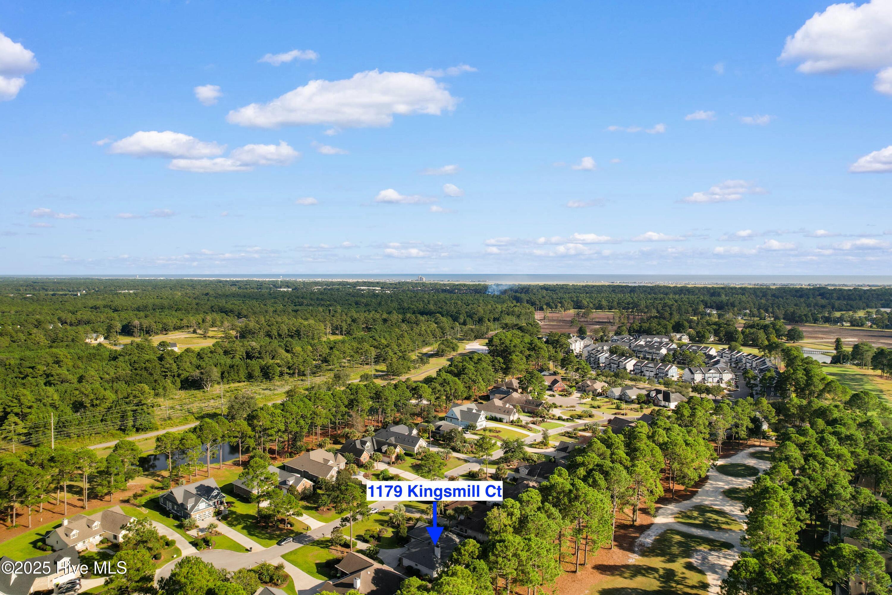 100531039 | Photo 39