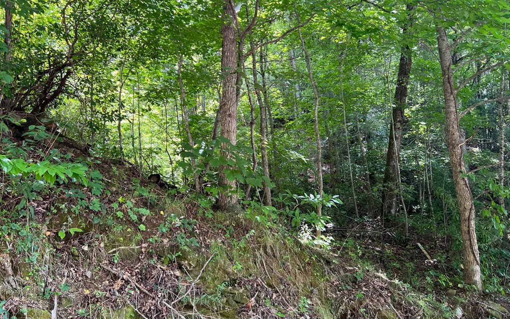 Exterior photo of Lot 77 77 Fires Creek Cove, Hayesville, NC 28904. MLS: 98524823
