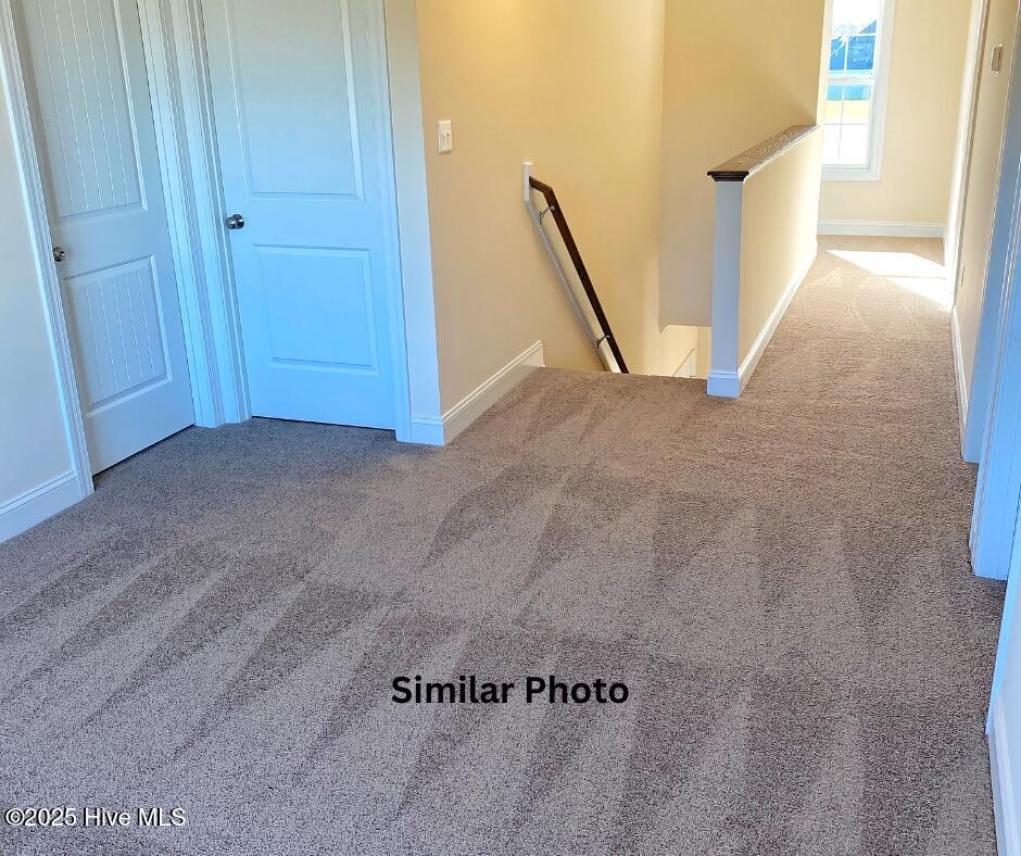 100525578 | Photo 18