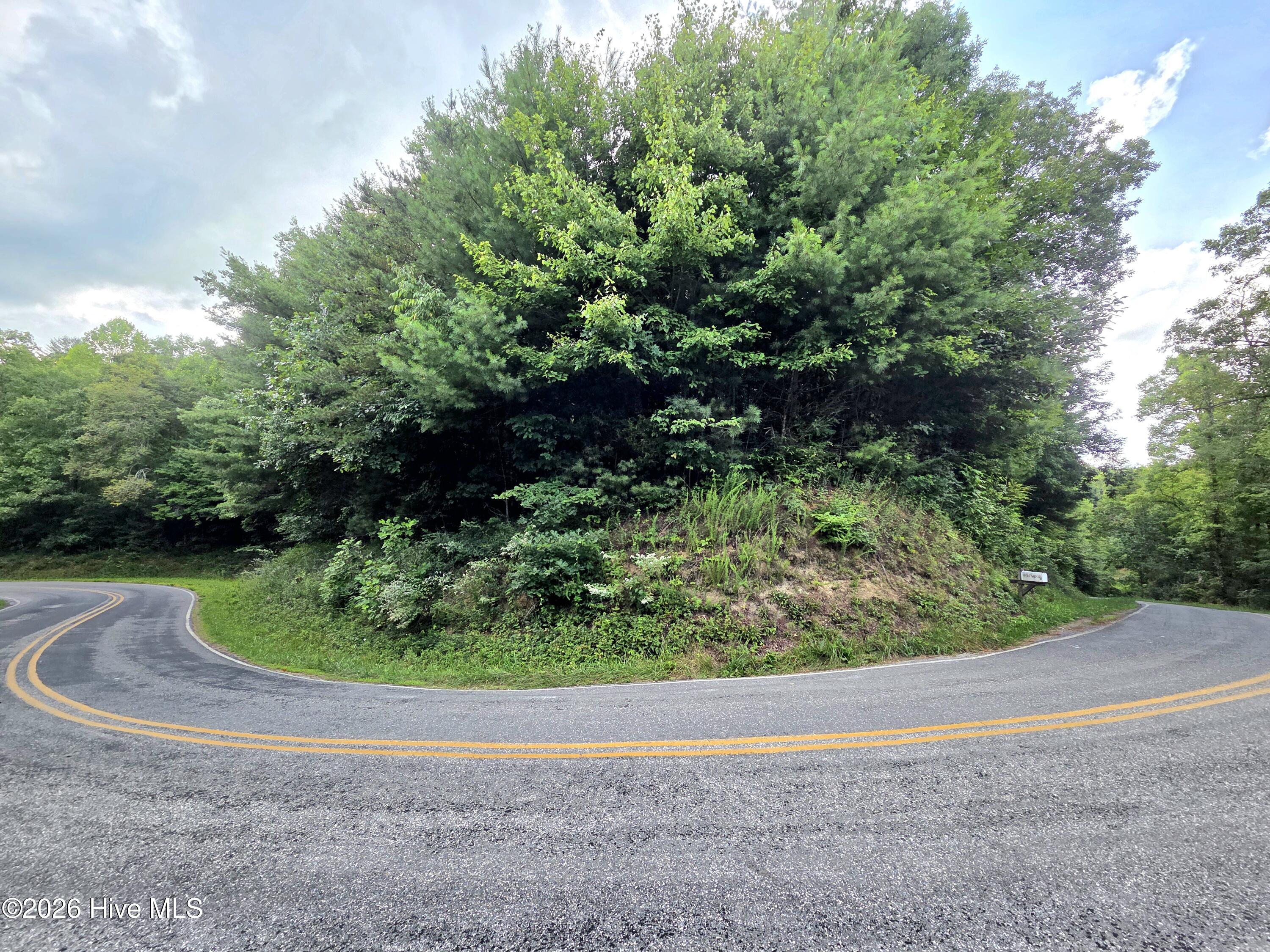3rd image of 50 Camp Branch Rd, Topton, NC 28781 | MLS# 100590283