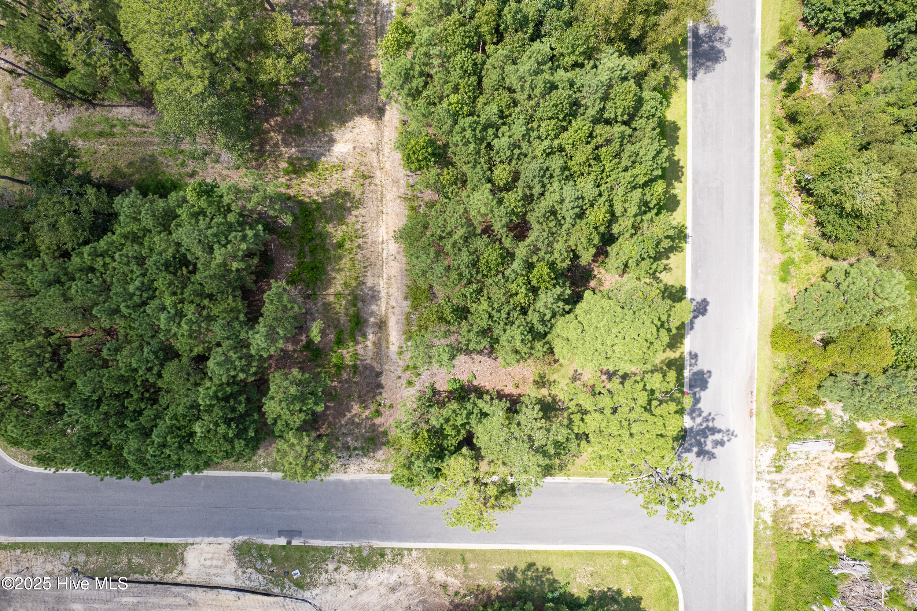 100524221 | Photo 14