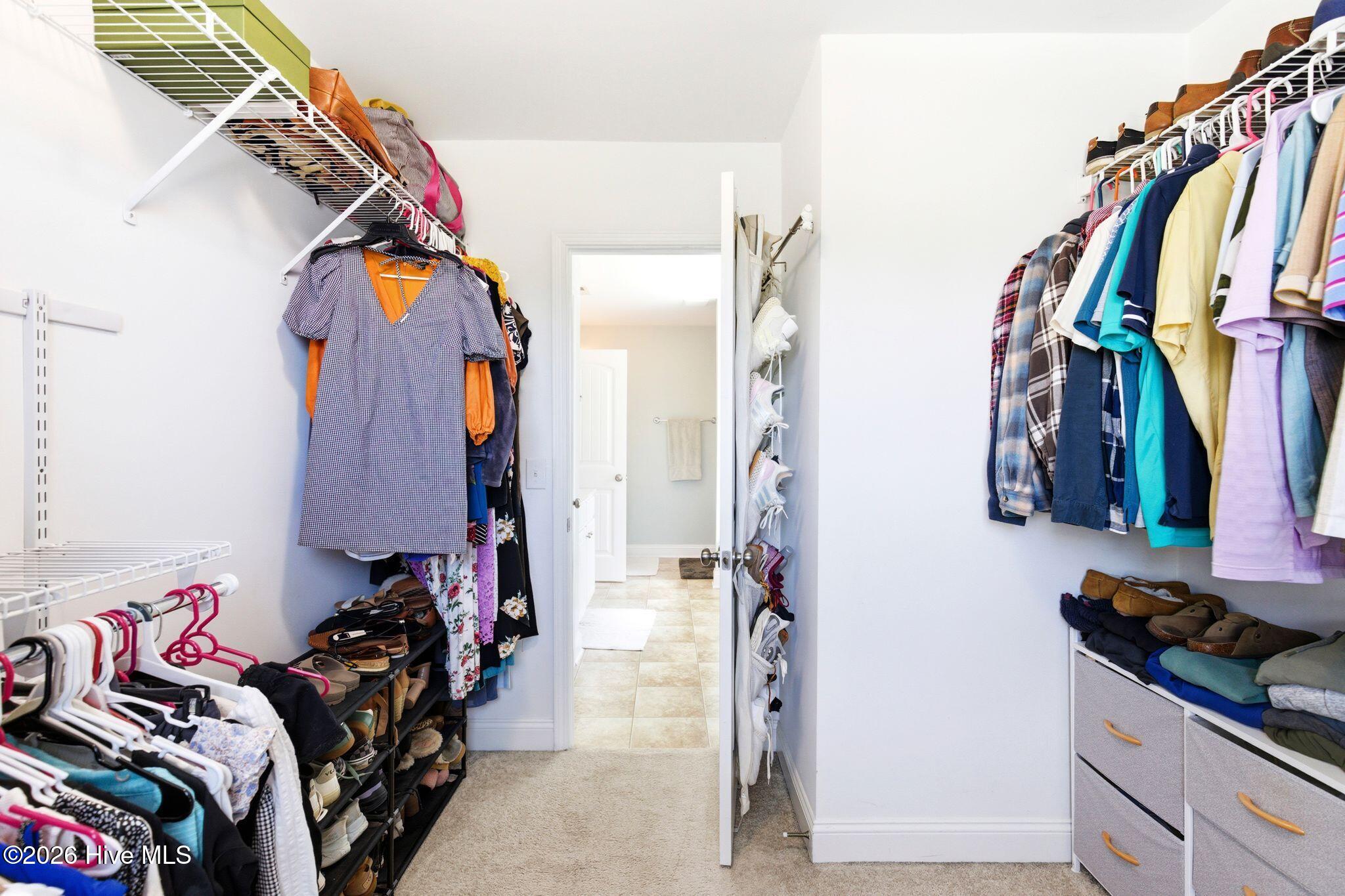 100566118 | Photo 43