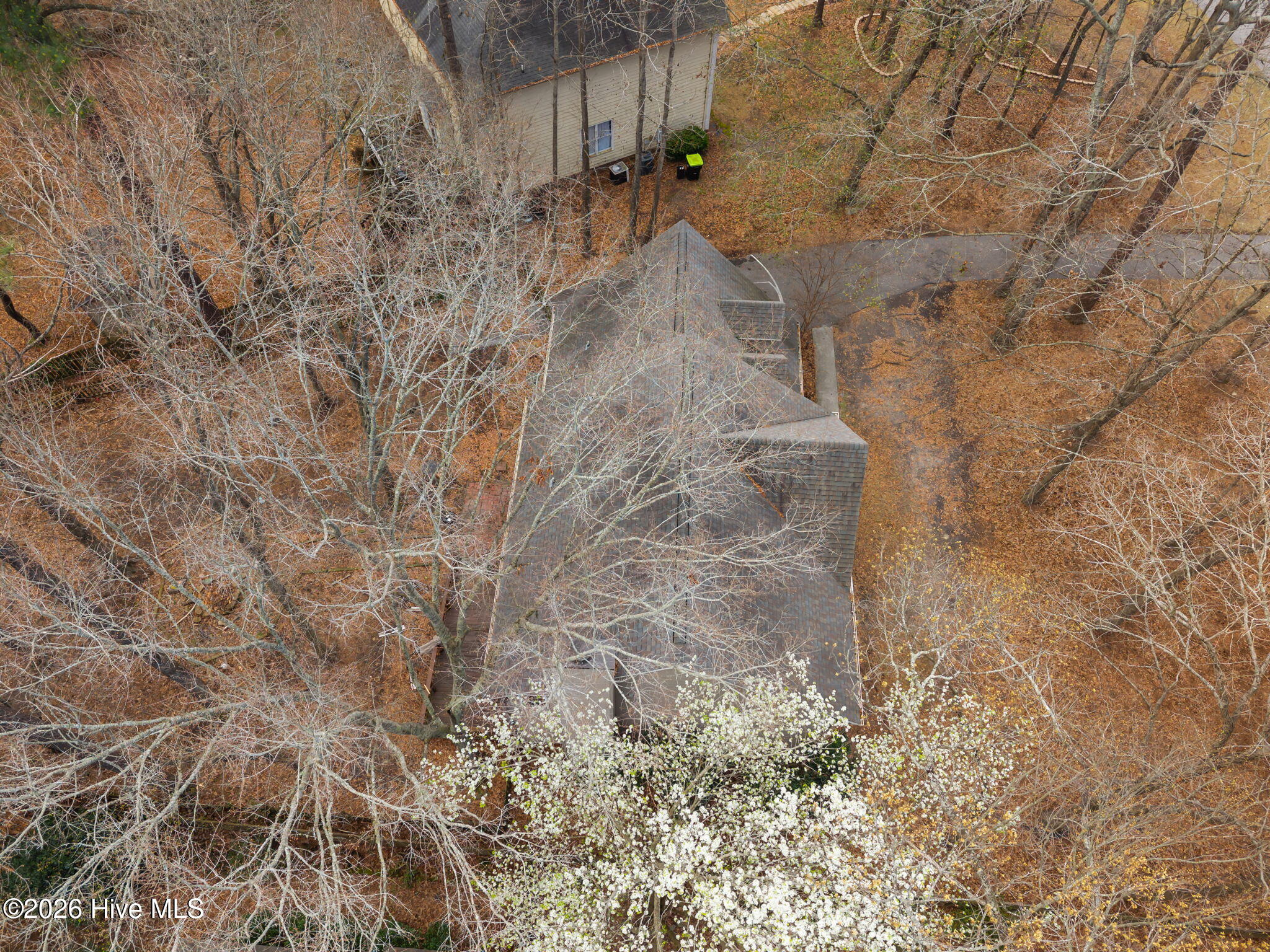 100557636 | Photo 38