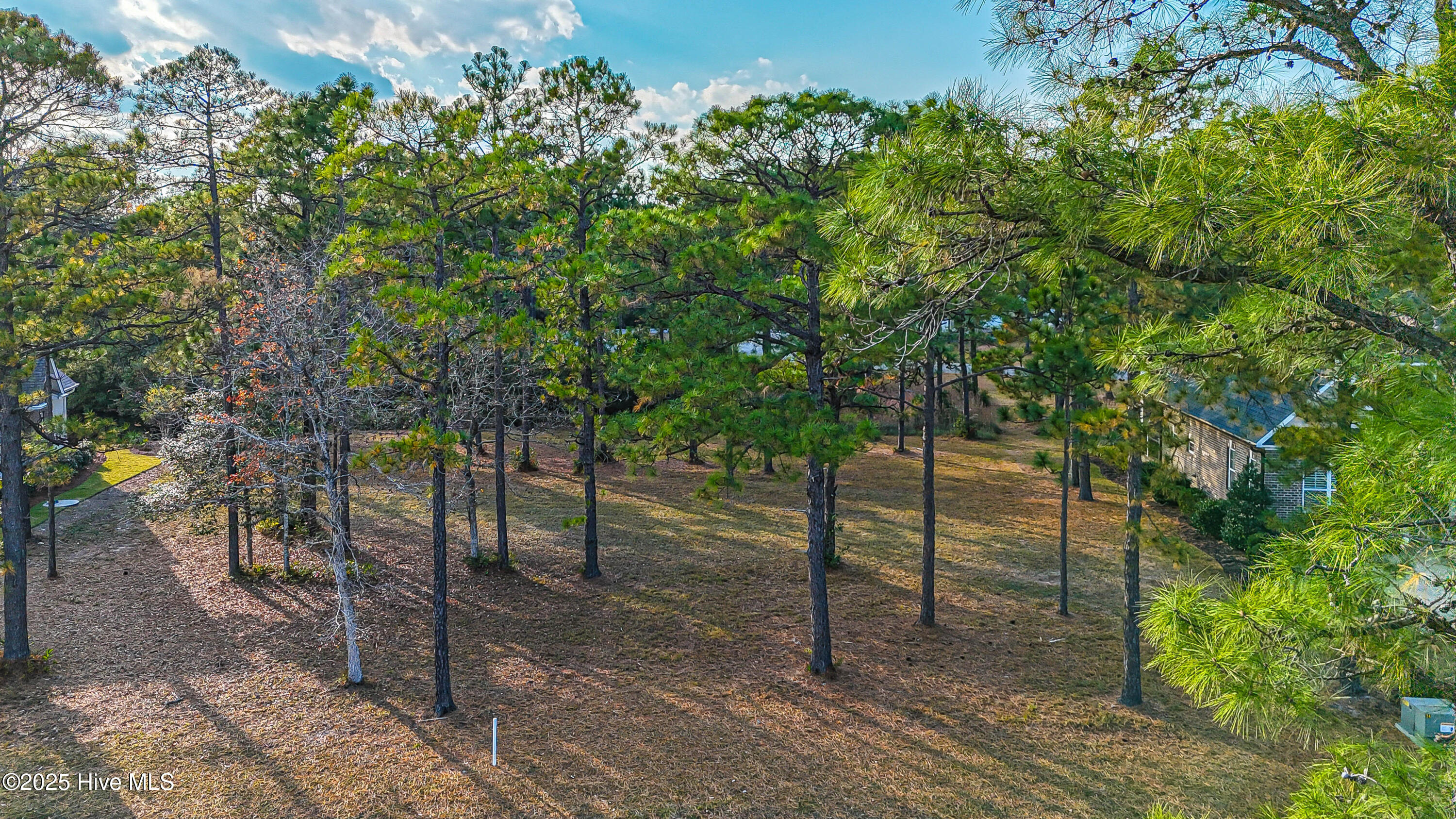 Carolina Barrier Islands