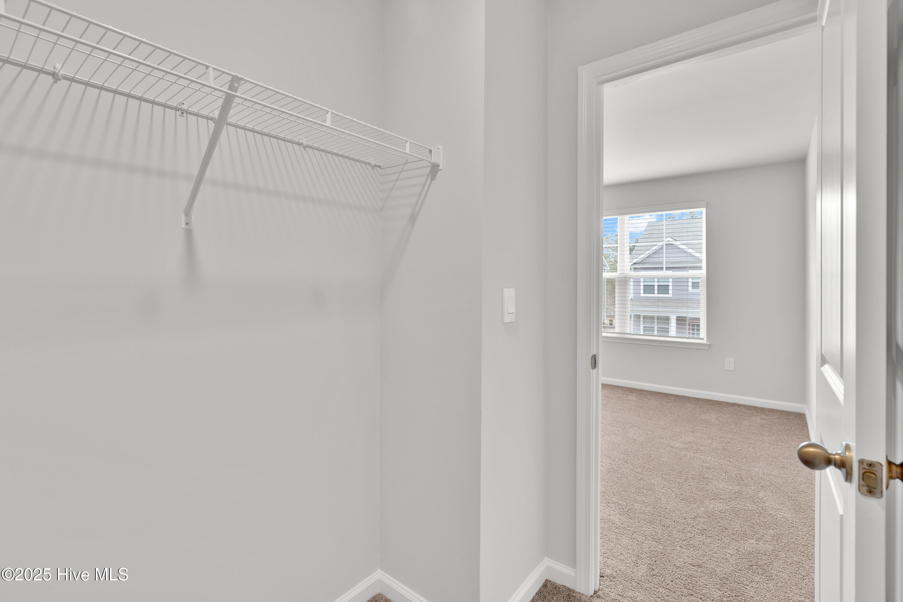 100522330 | Photo 24