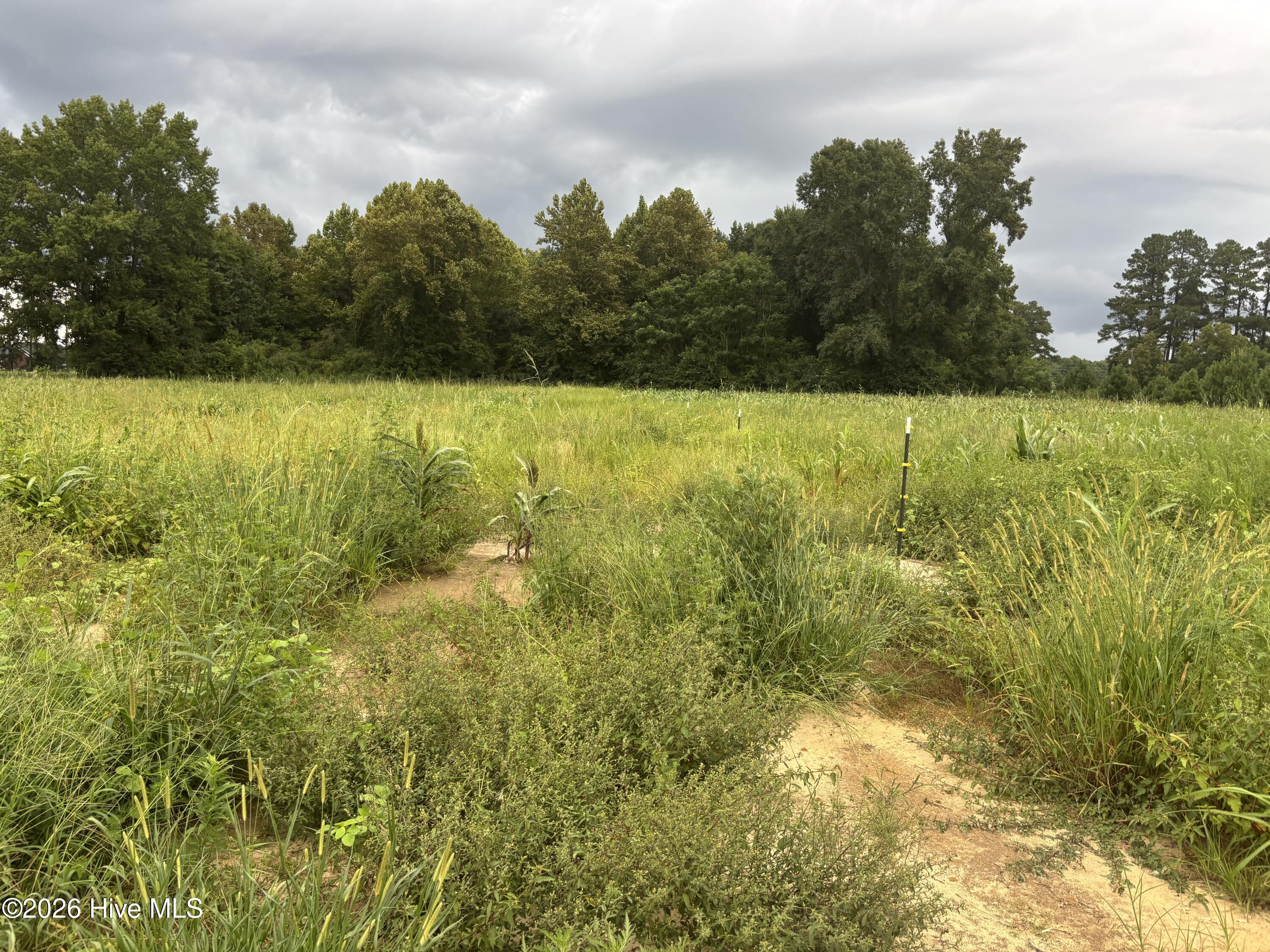 6th image of 8068 Clarendon Chadbourn Rd, Chadbourn, NC 28431 | MLS# 100600067