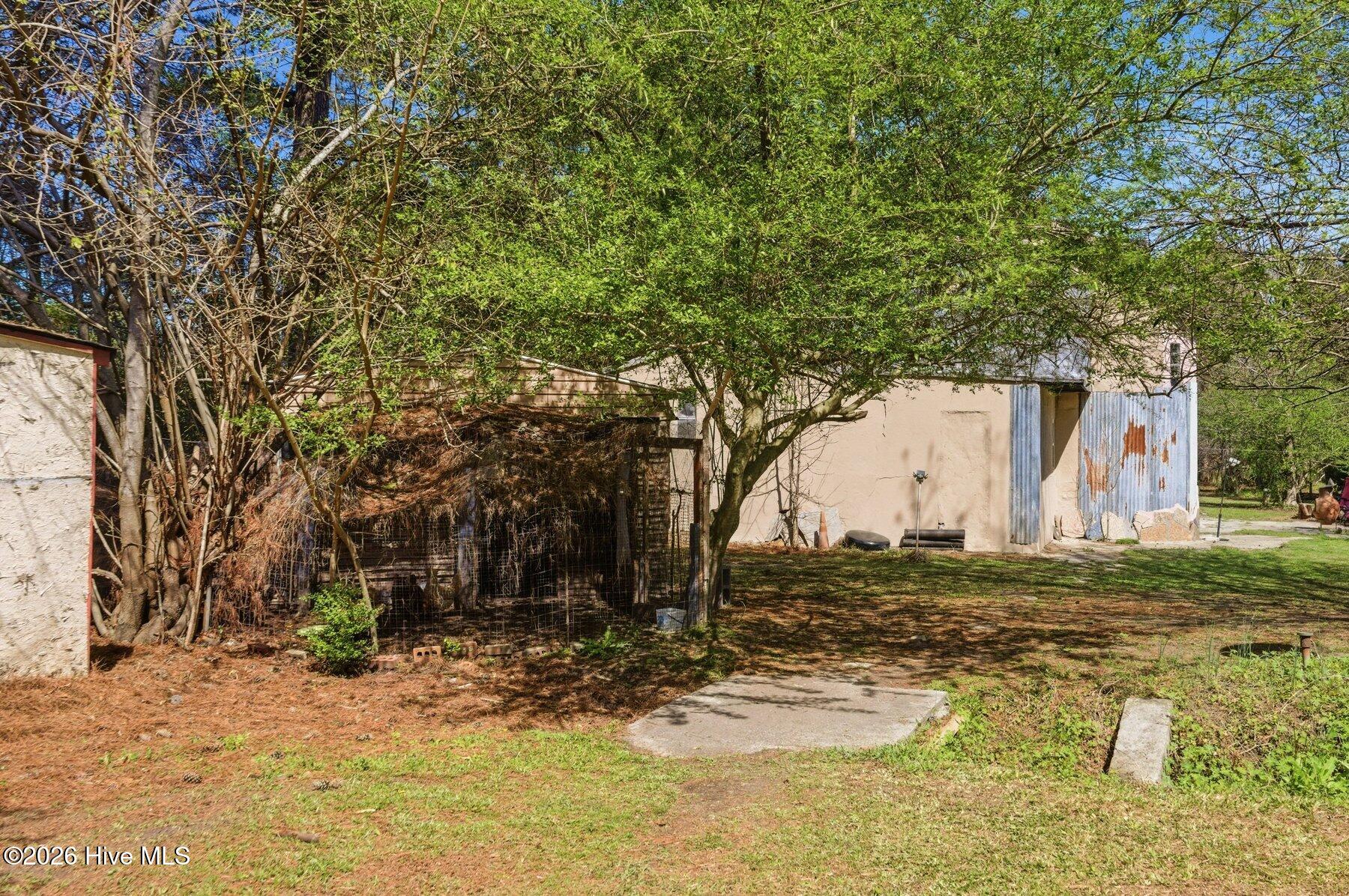 100562175 | Photo 12