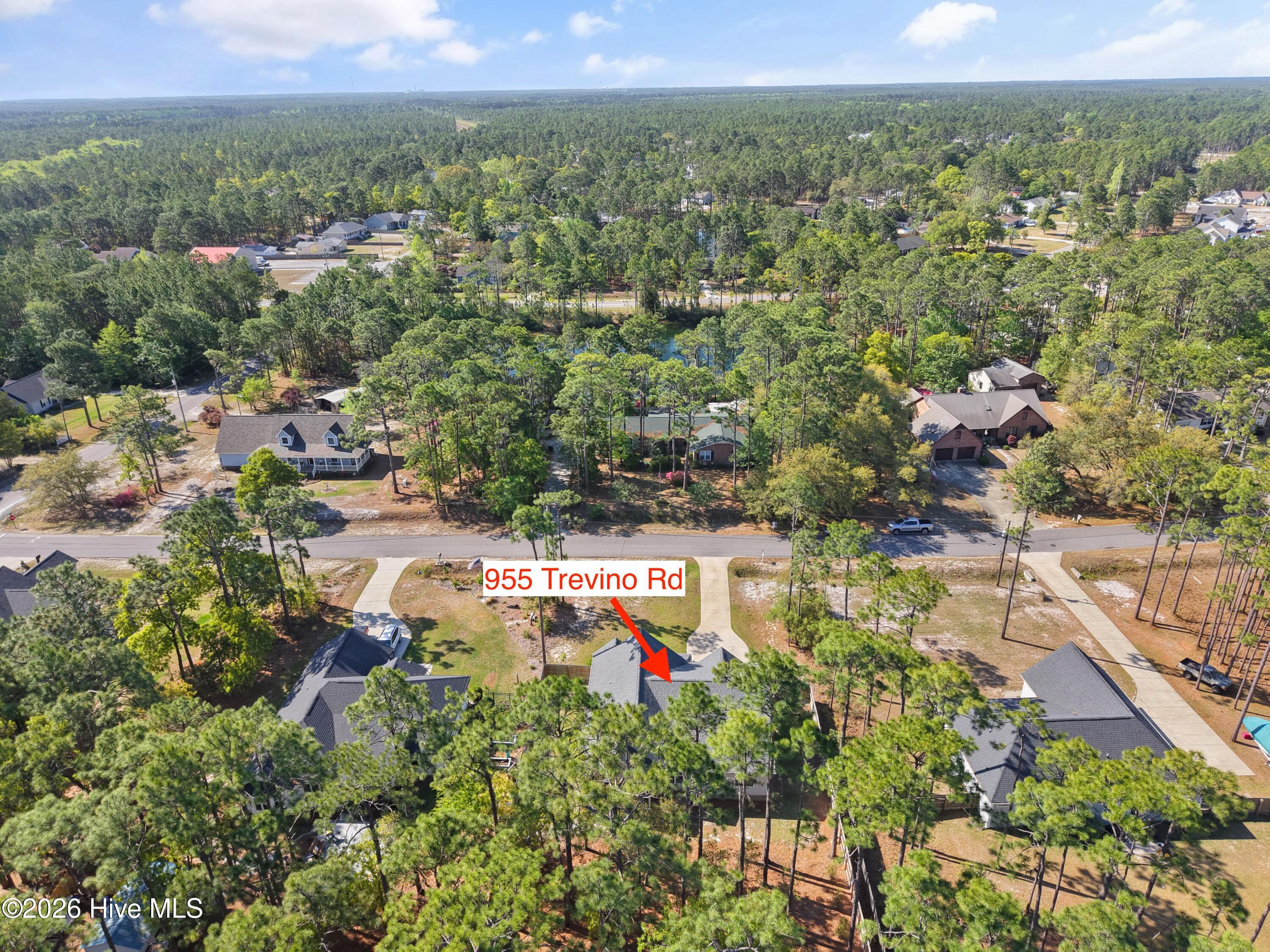 100568051 | Photo 50