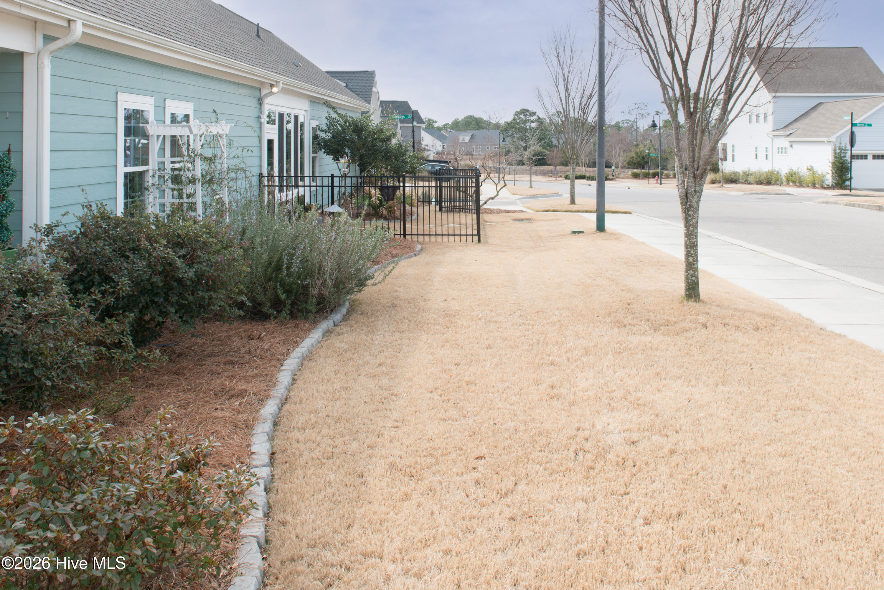 100553432 | Photo 70