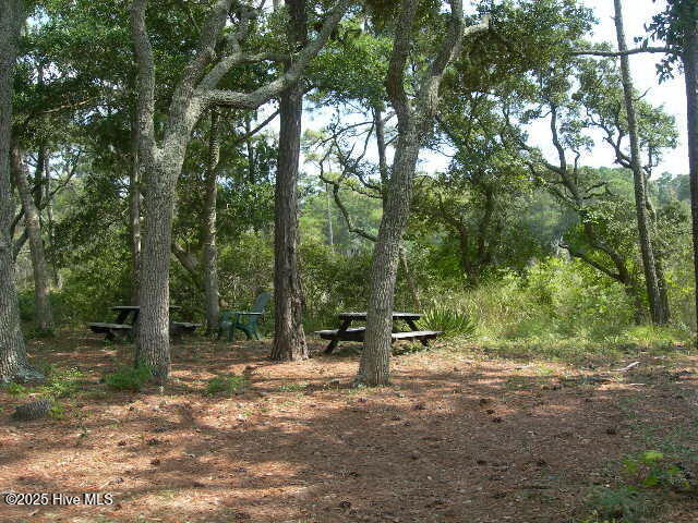 100504692 | Photo 12