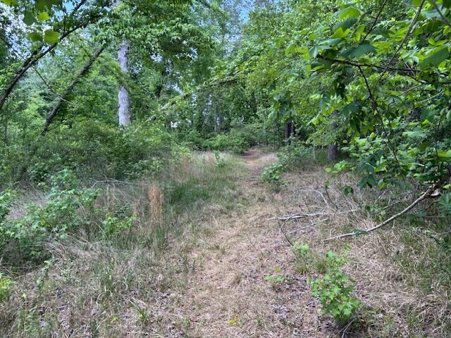 2064 Glenn Falls, Grovetown, GA, 30813