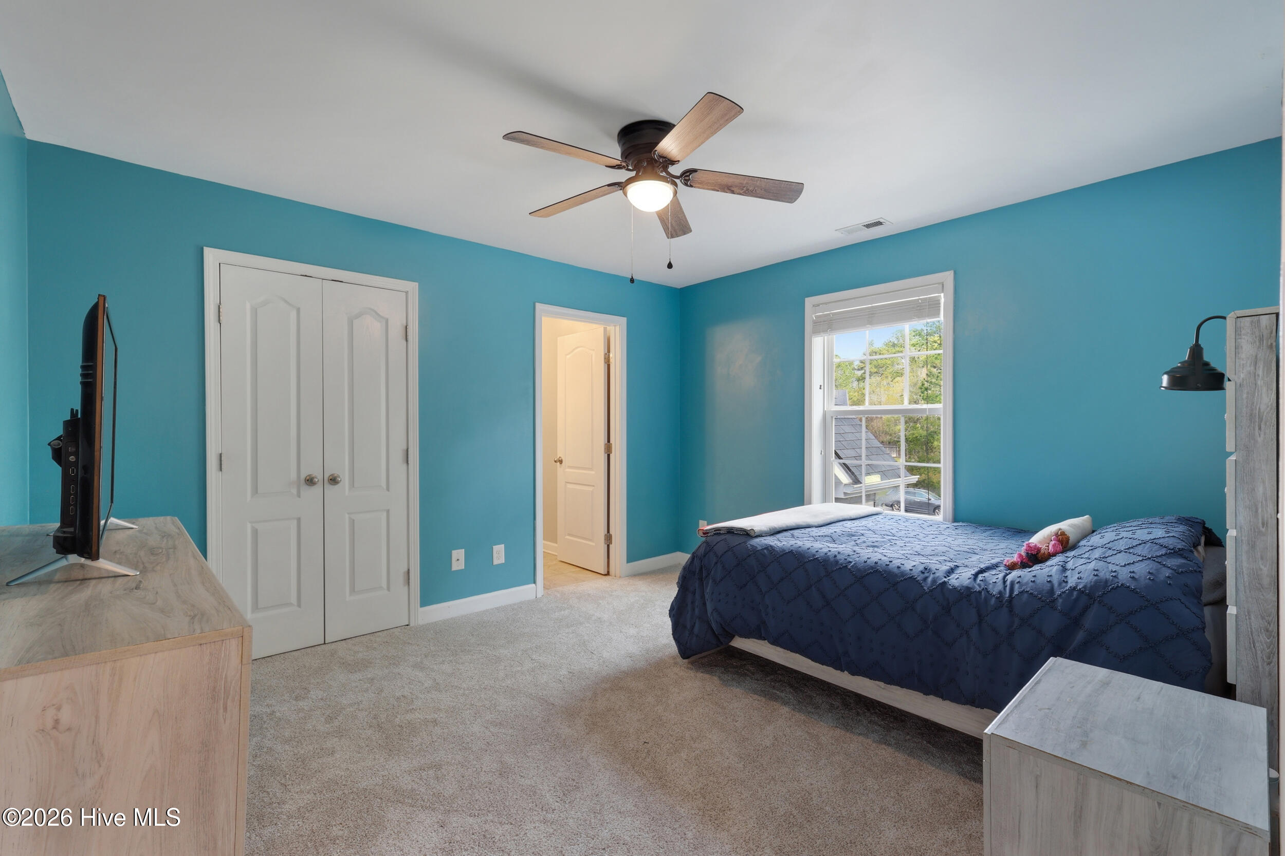 100562179 | Photo 40