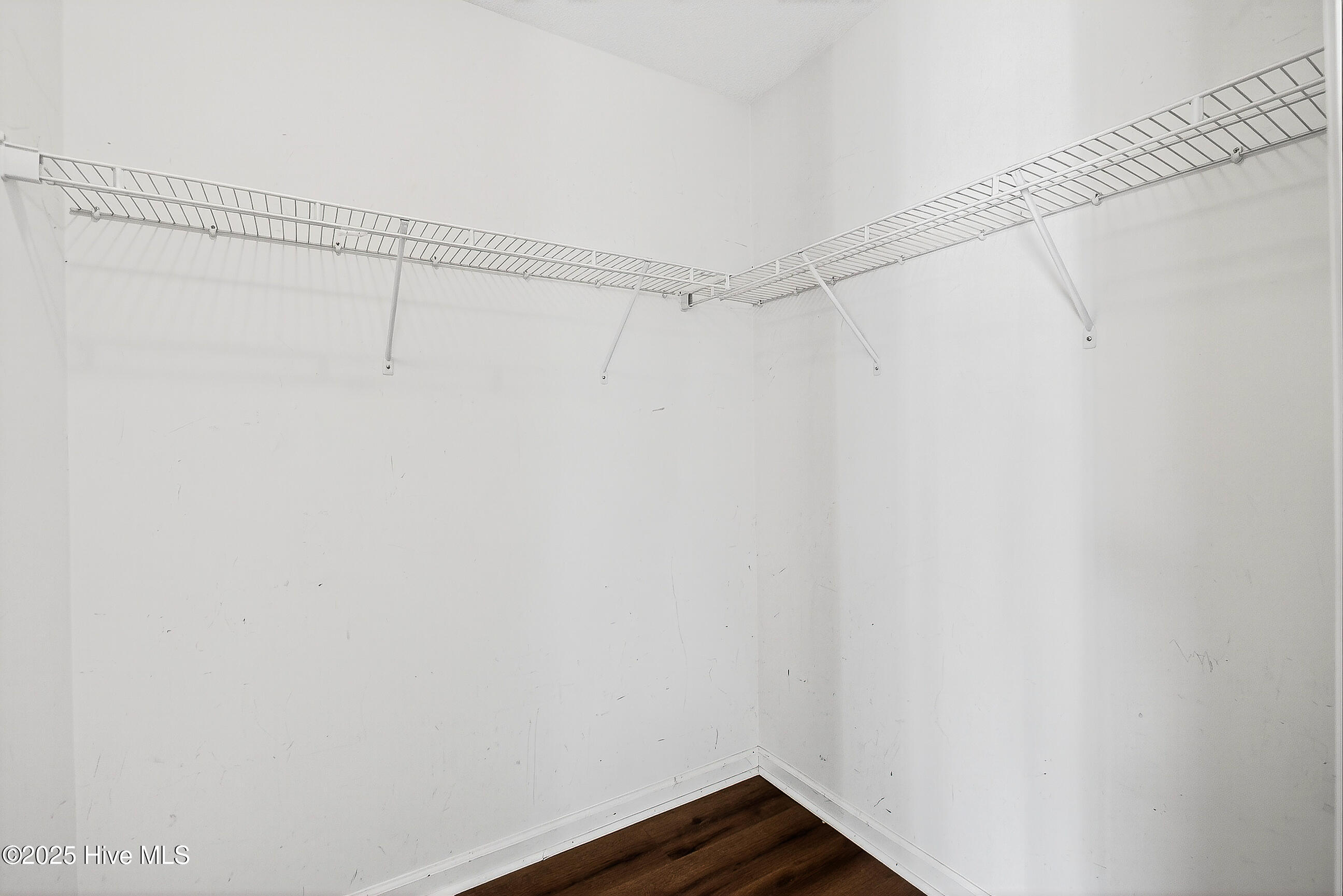 100537244 | Photo 18