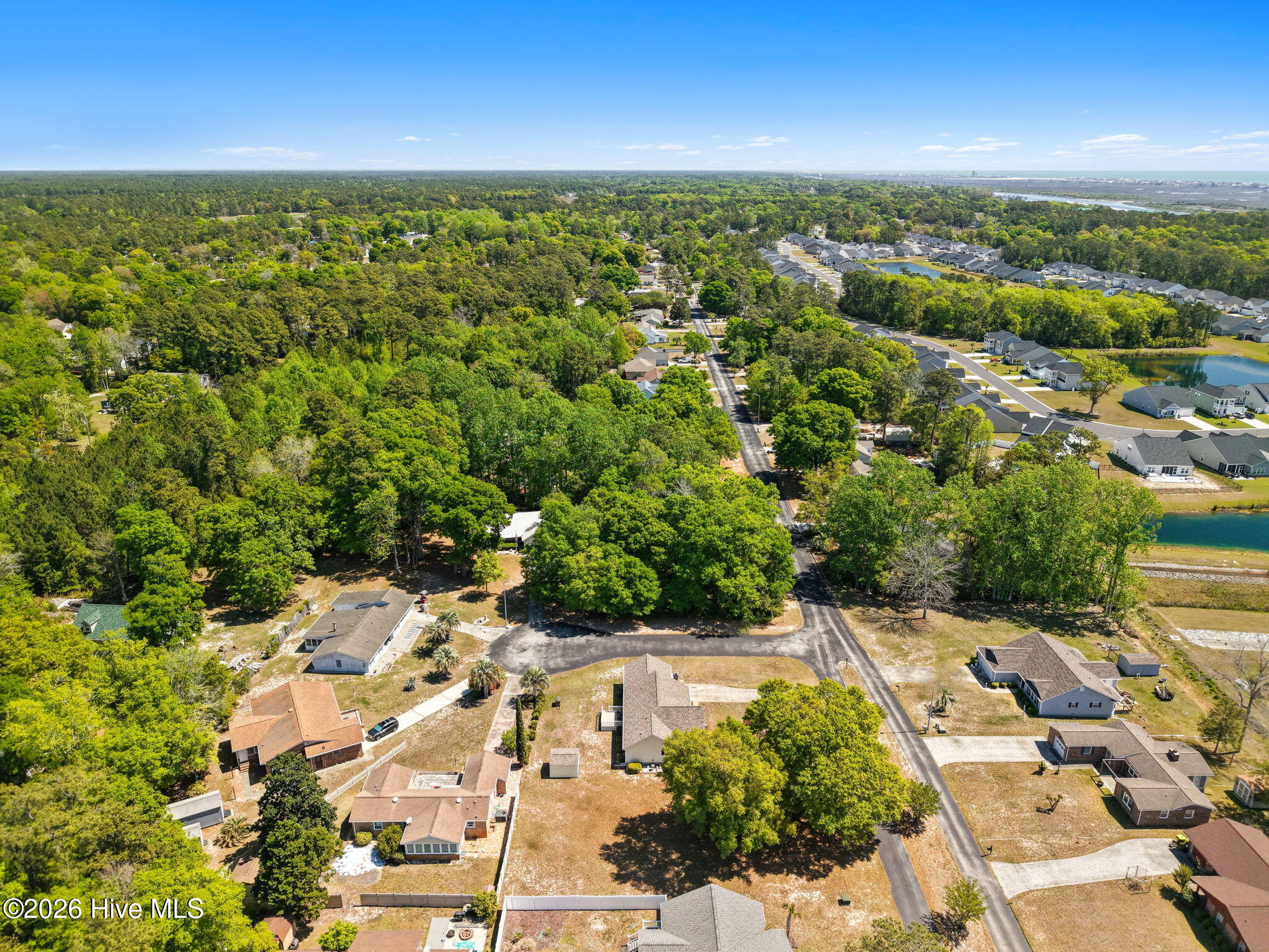 100566837 | Photo 15