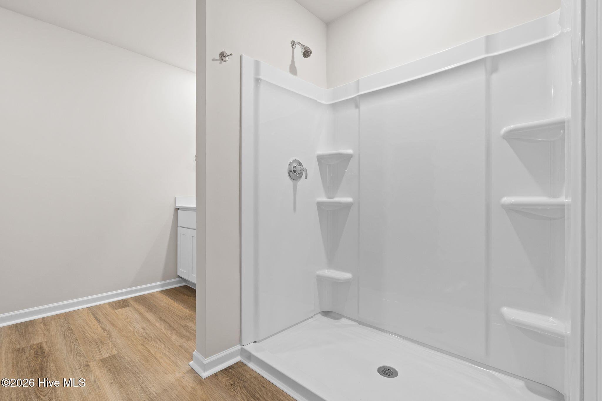 100519068 | Photo 26