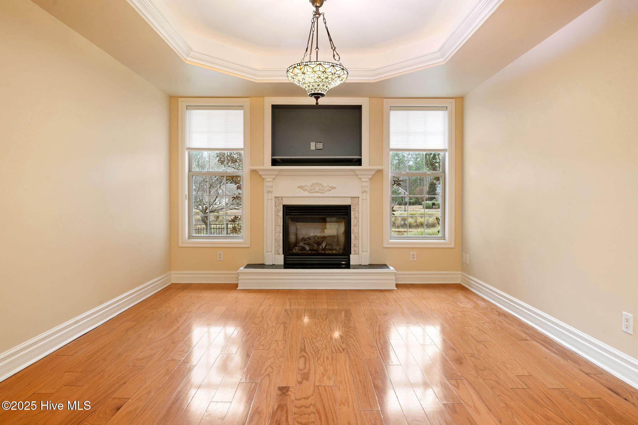 100546164 | Photo 10