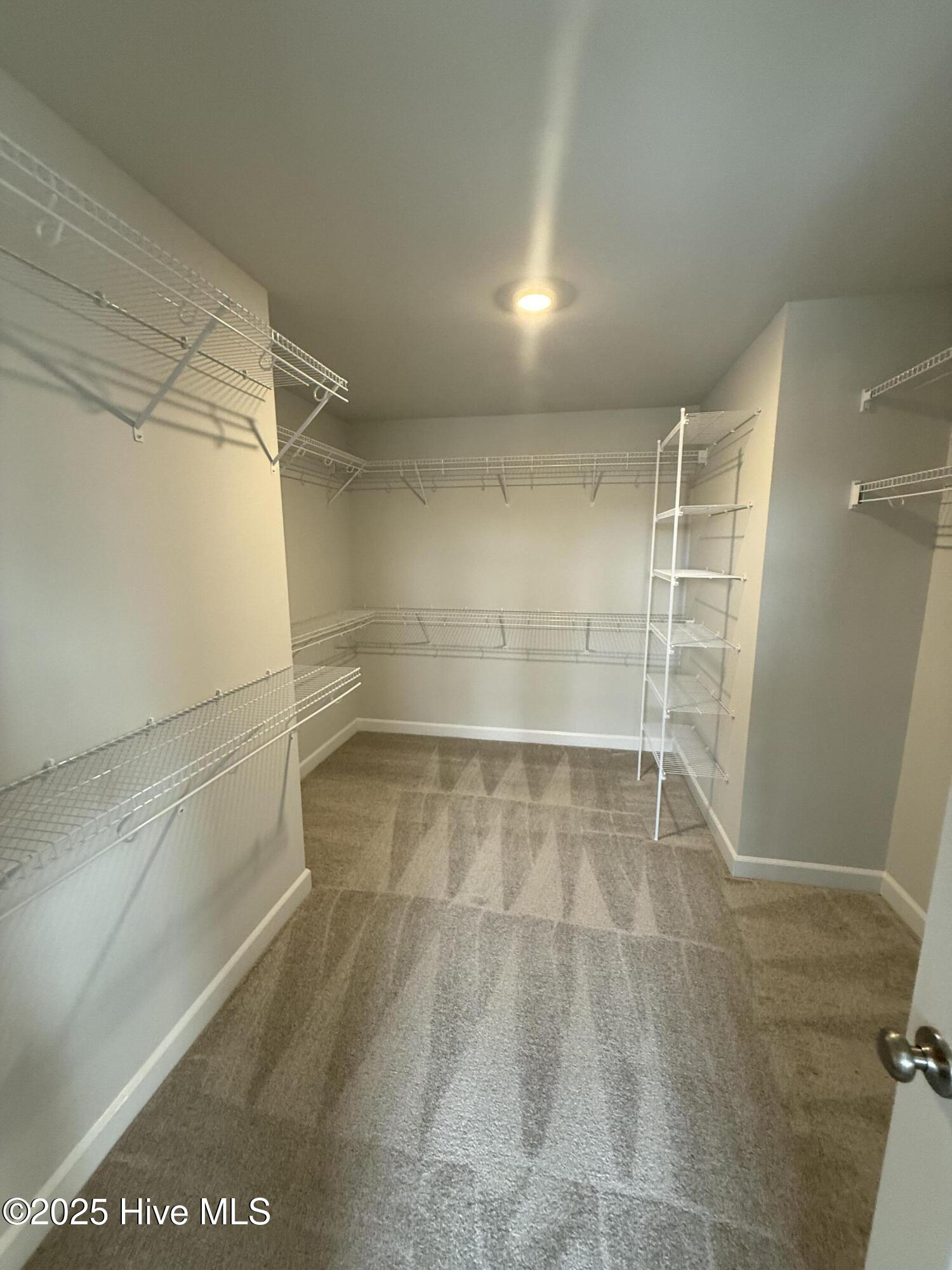 100536678 | Photo 16