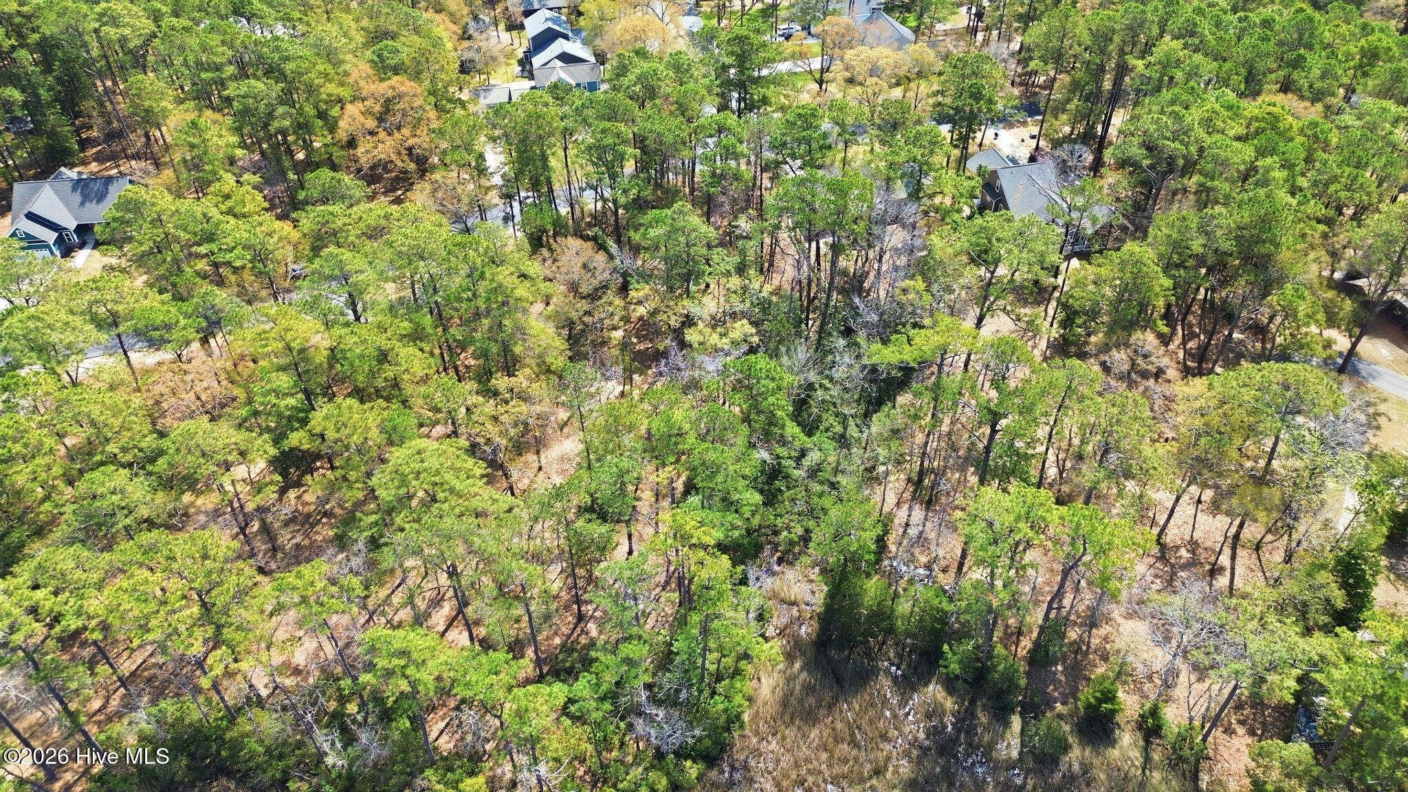 100563683 | Photo 21