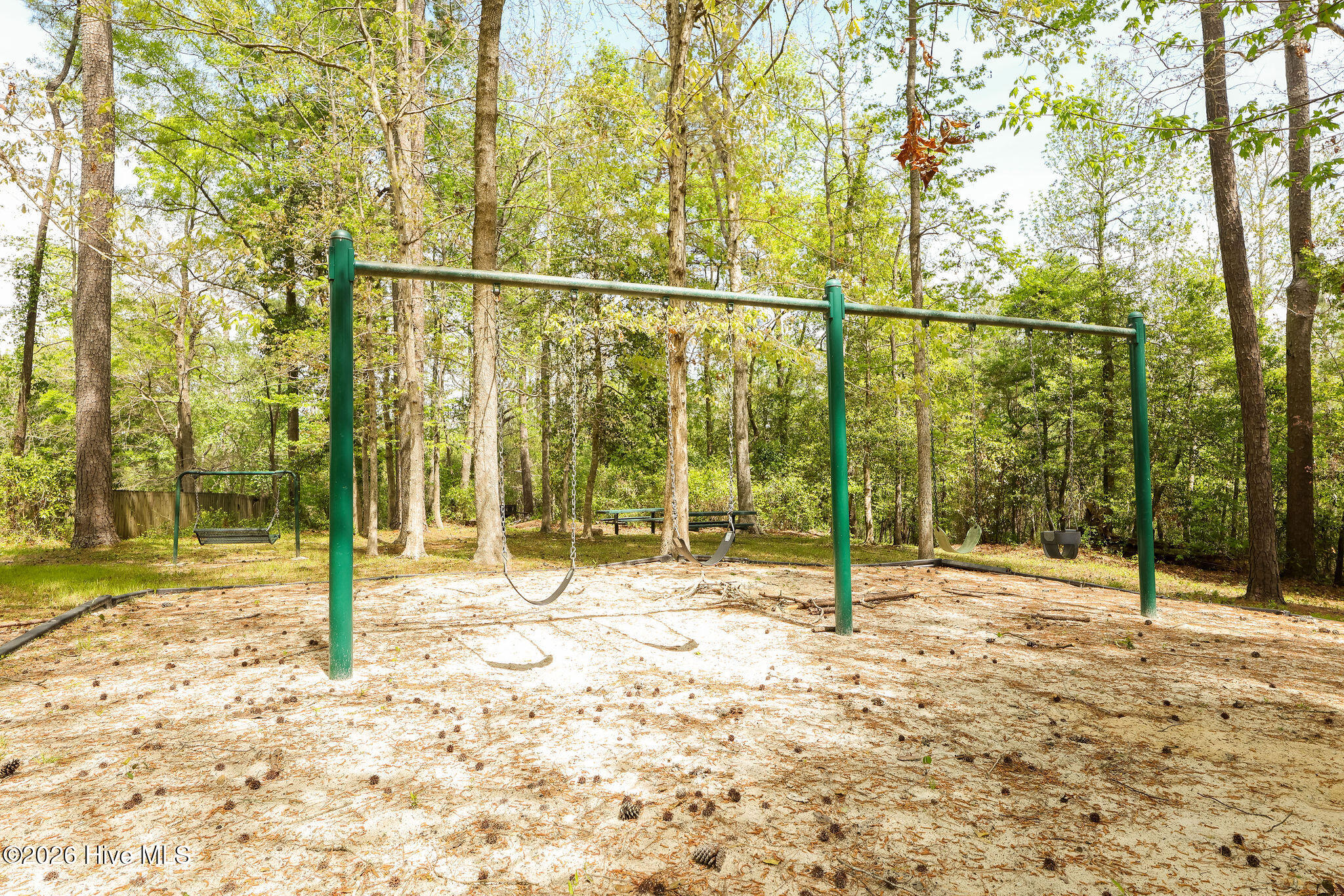 100565311 | Photo 58