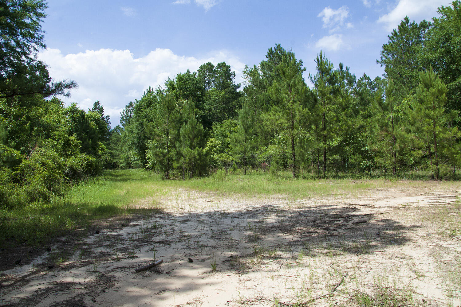 1515D HEPHZIBAH - MCBEAN Road, Hephzibah, GA, 30815